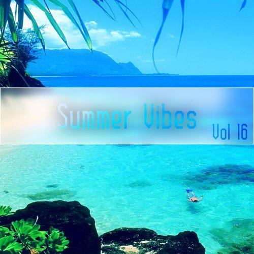 "Summer Vibes,Vol.16"