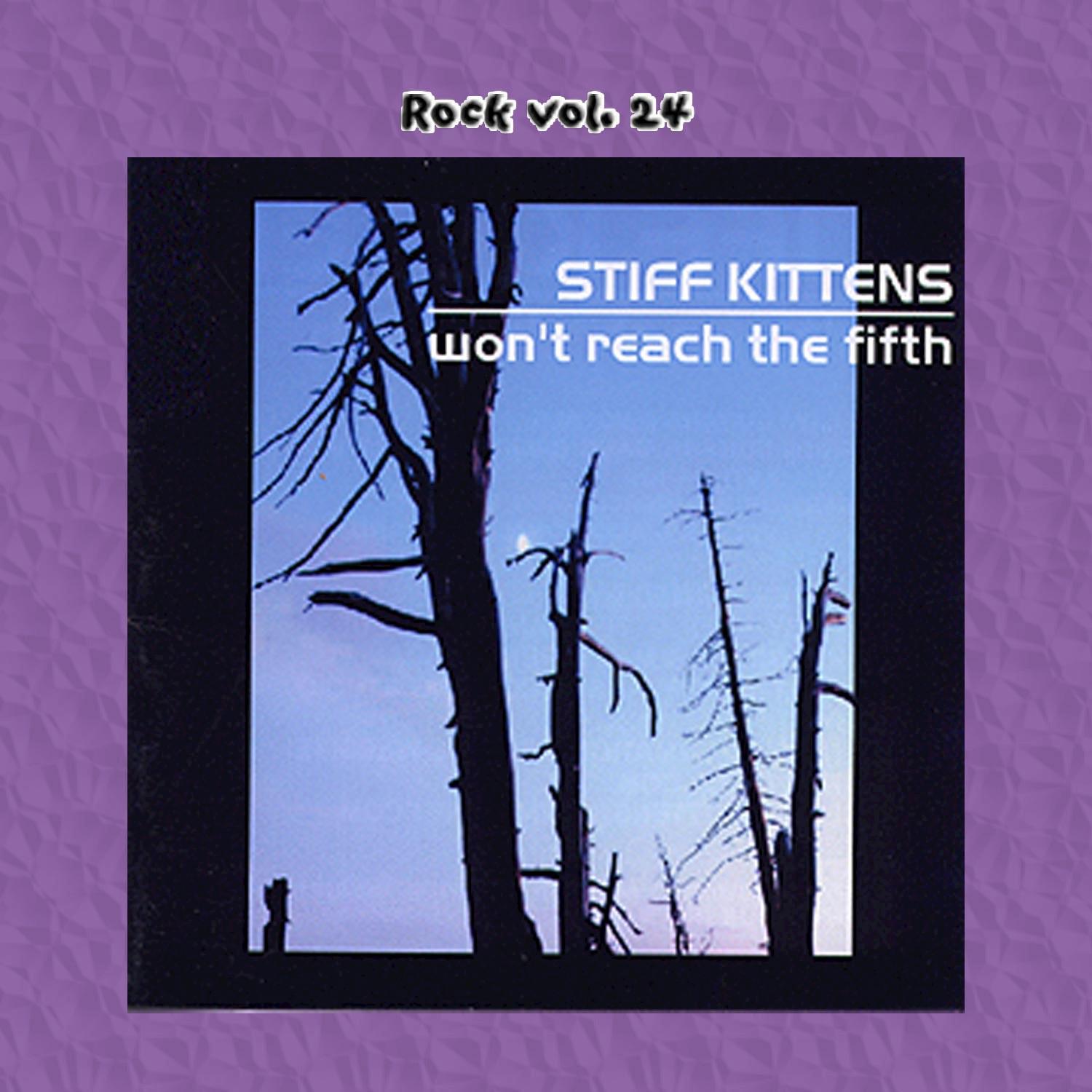 Rock Vol. 24: Stiff Kittens-Won't Reach The Fifth