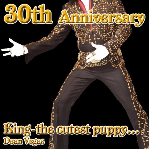 King (The Cutest Puppy) Elvis 30th Anniversary Special