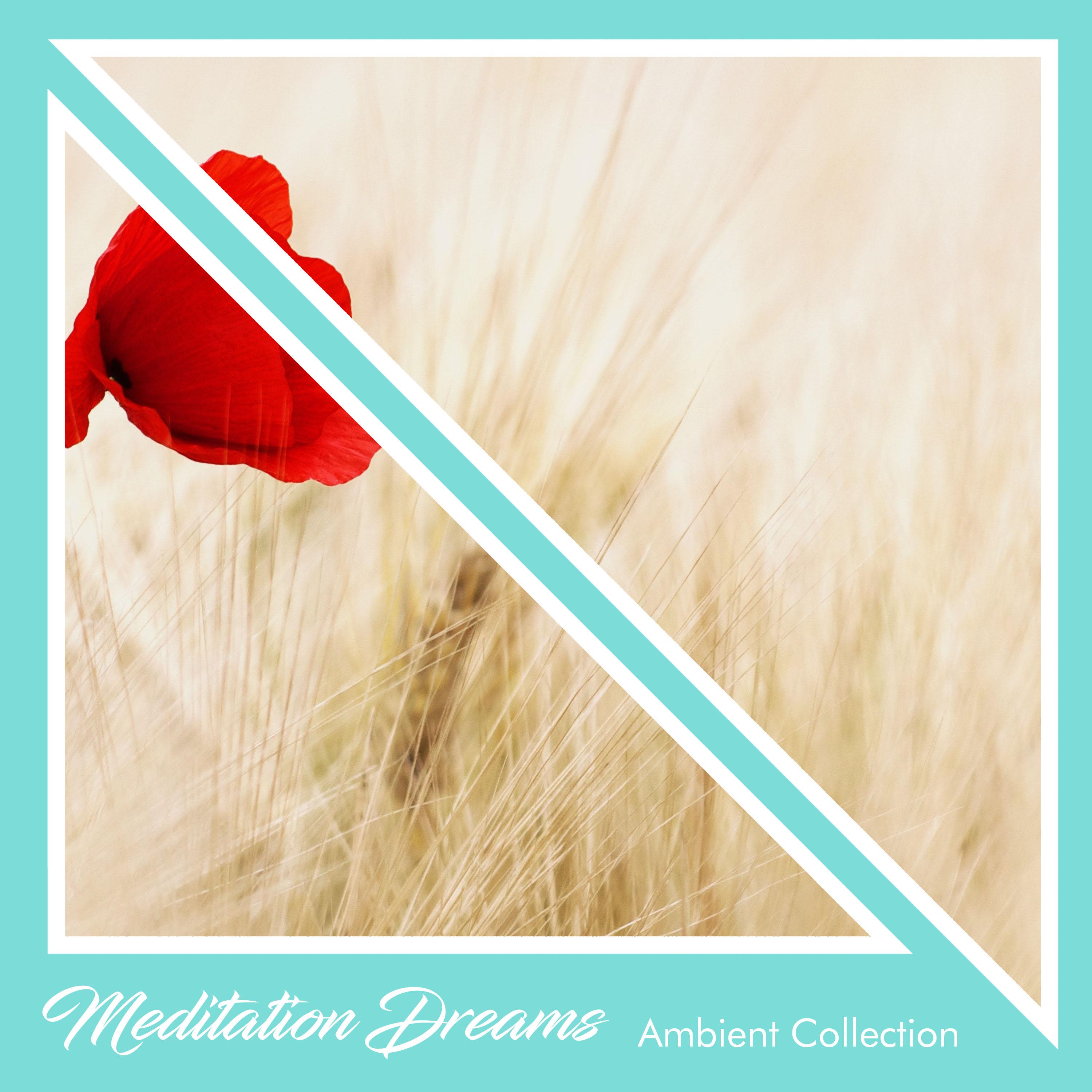 2018 An Ambient Collection: Meditation Dreams