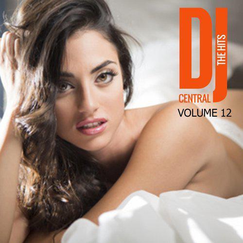 "DJ Central - The Hits, Vol. 12"