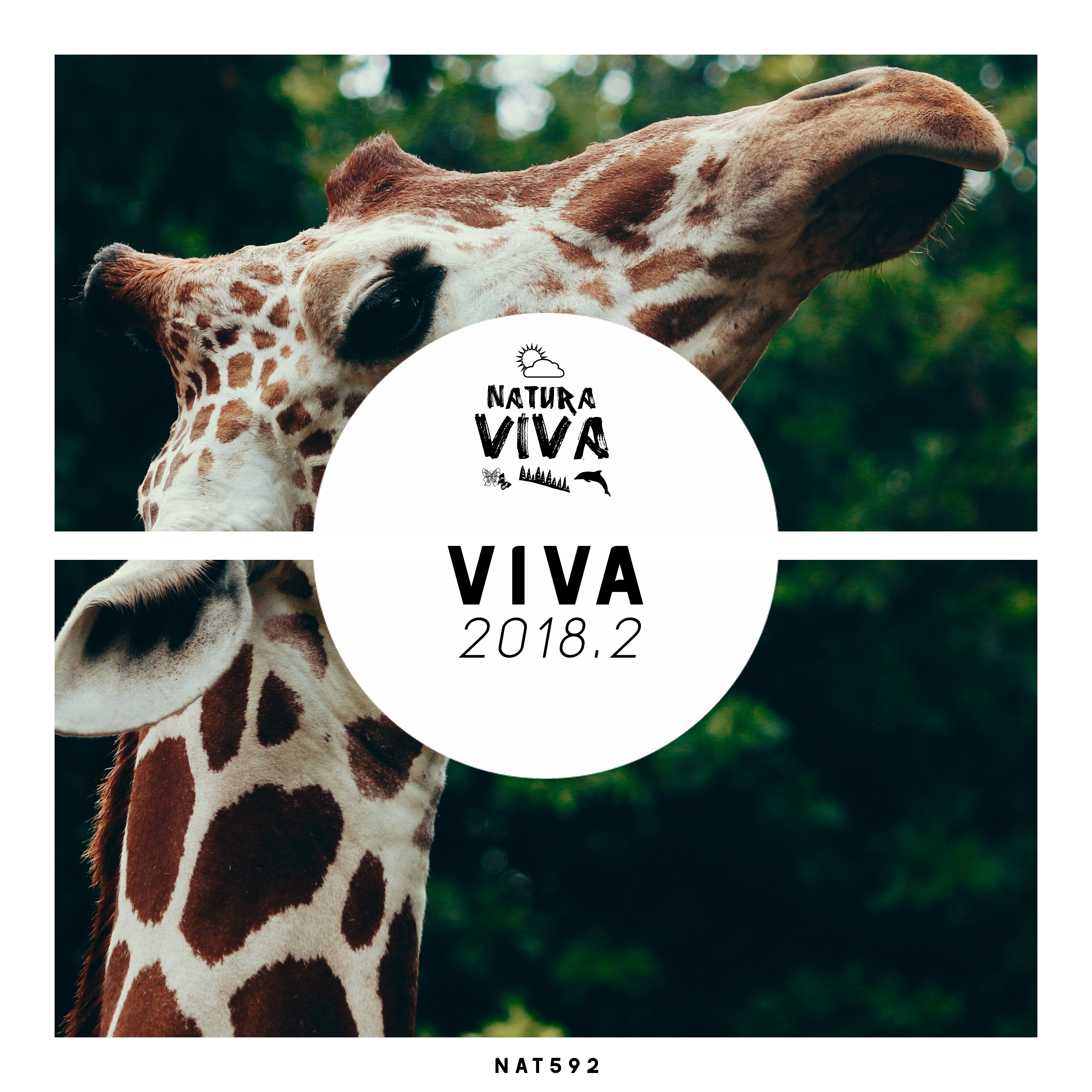 Viva 2018.2