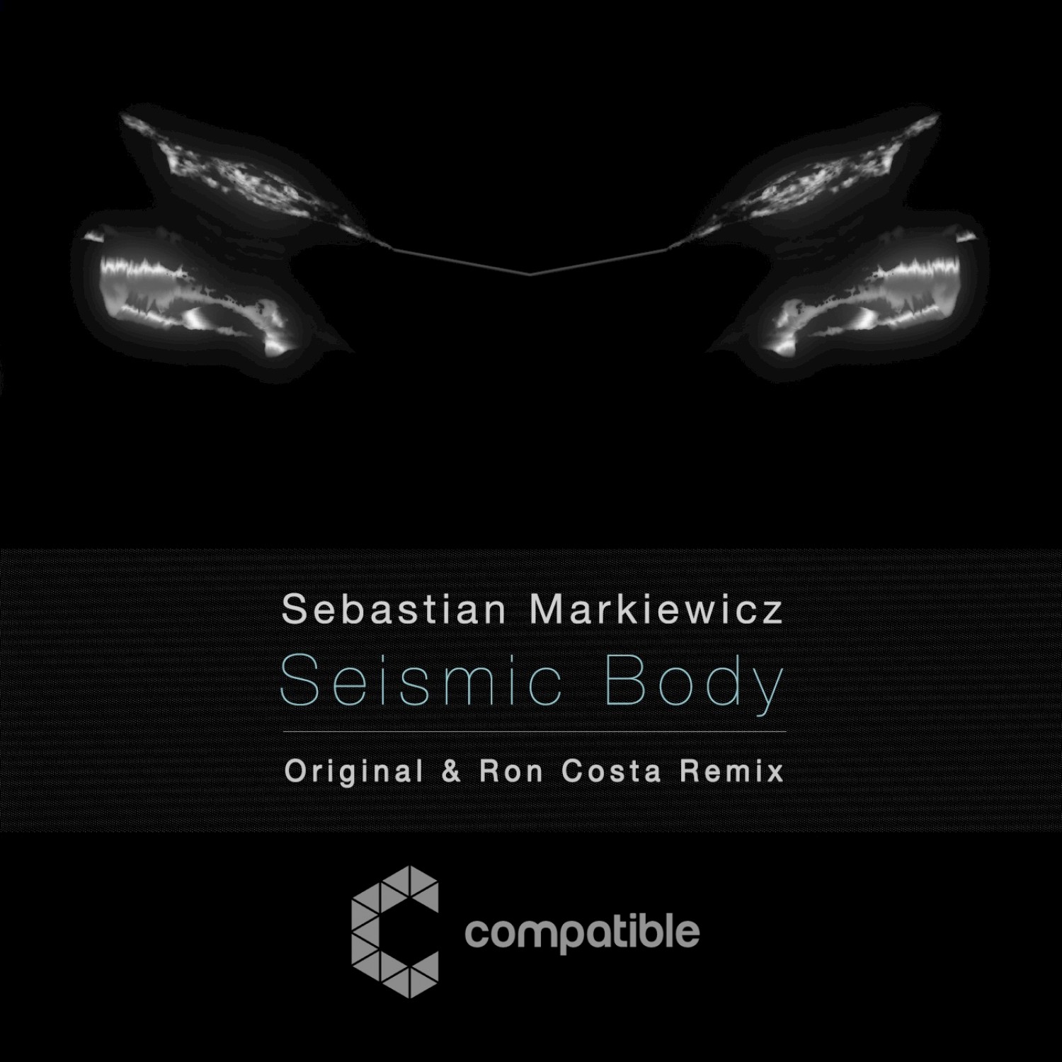 Seismic Body