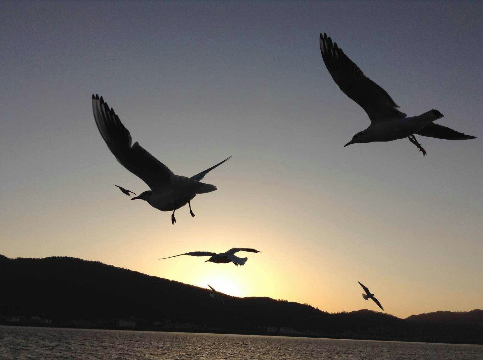 流浪，流浪