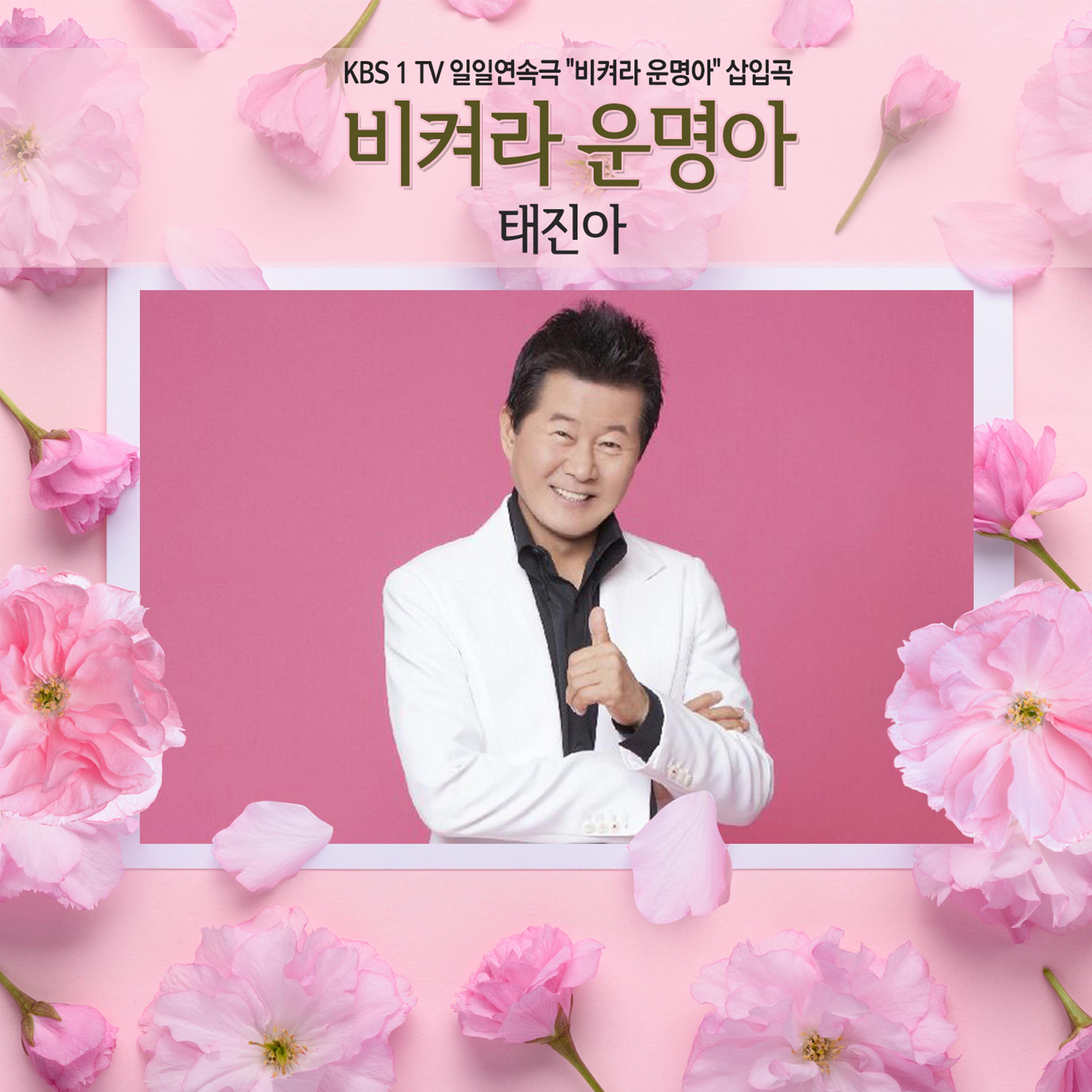 비켜라 운명아 (KBS1TV "비켜라 운명아" 삽입곡)