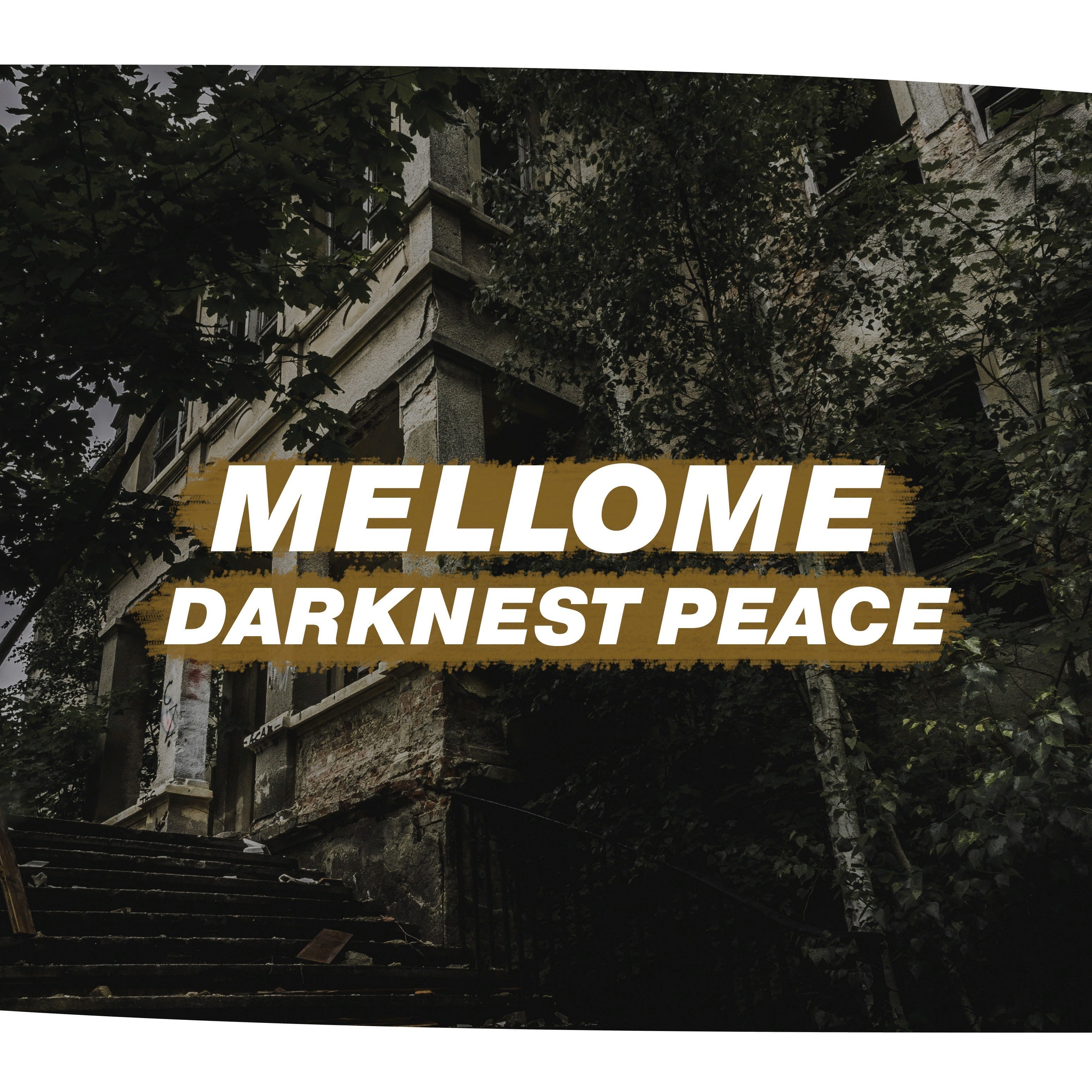 Darknest Peace