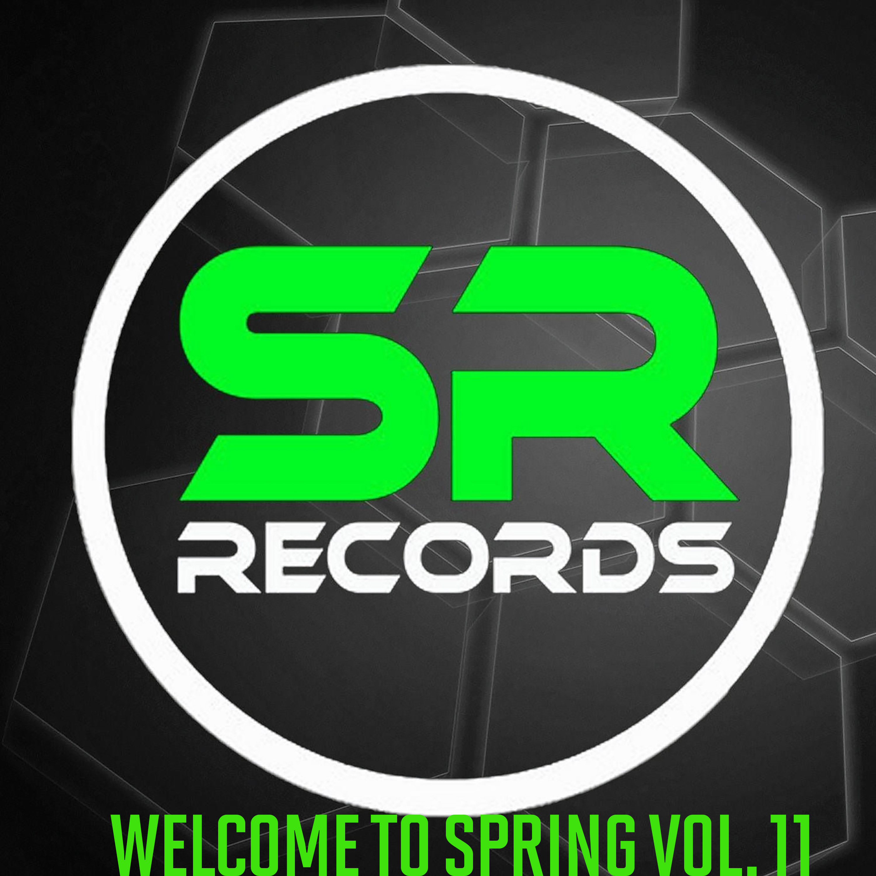 Various Artists Welcome To Spring Vol. 11