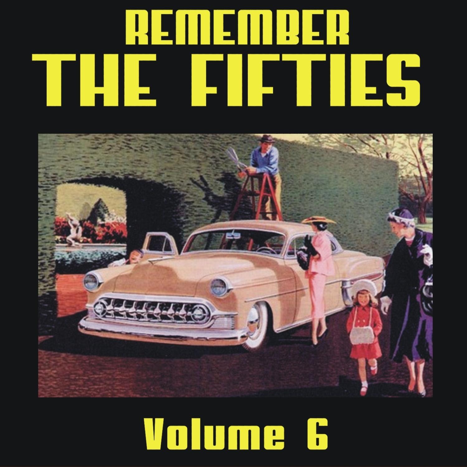 Remember the 50's, Volume 6