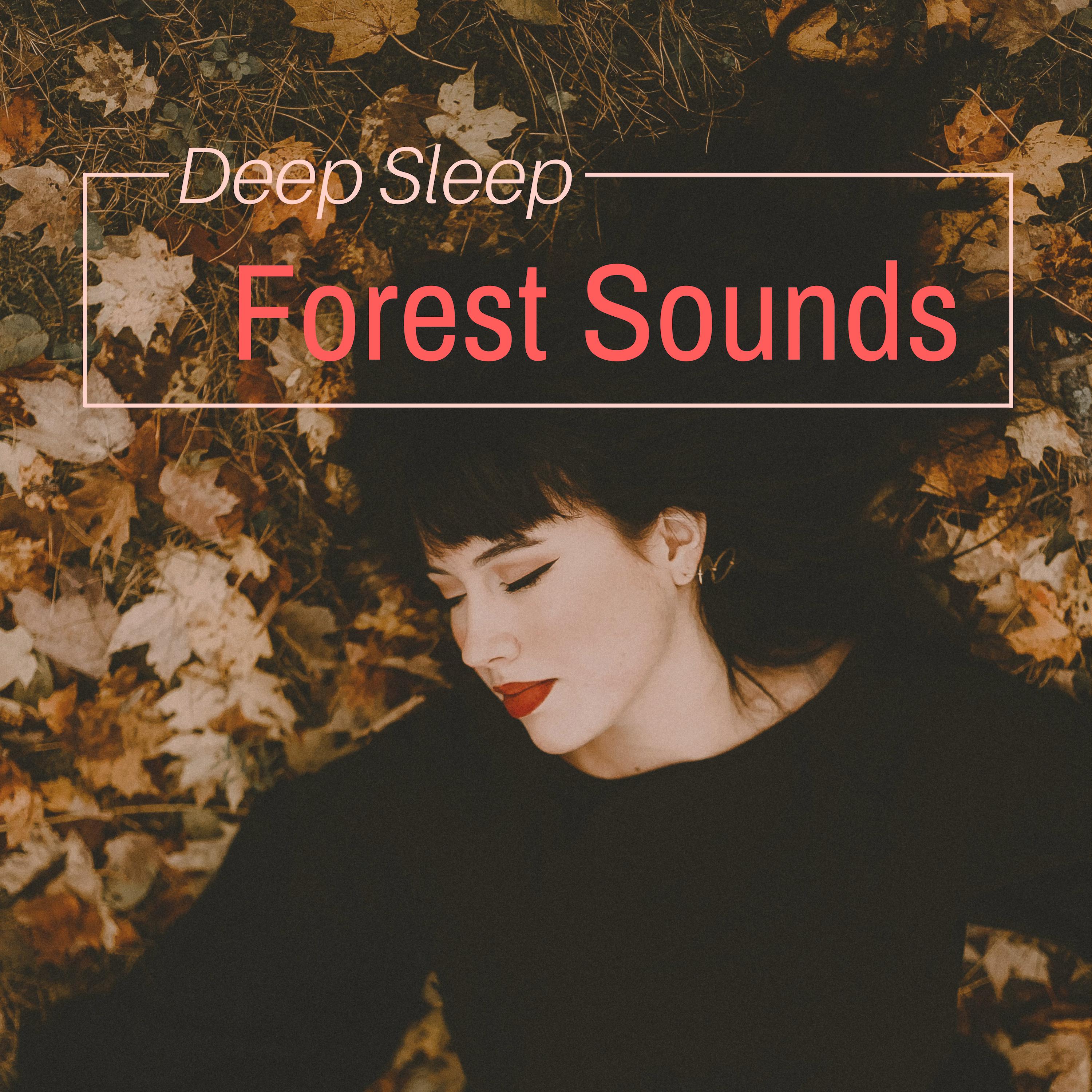 Deep Sleep Forest Sounds - Dreamy Night Music for Relaxation