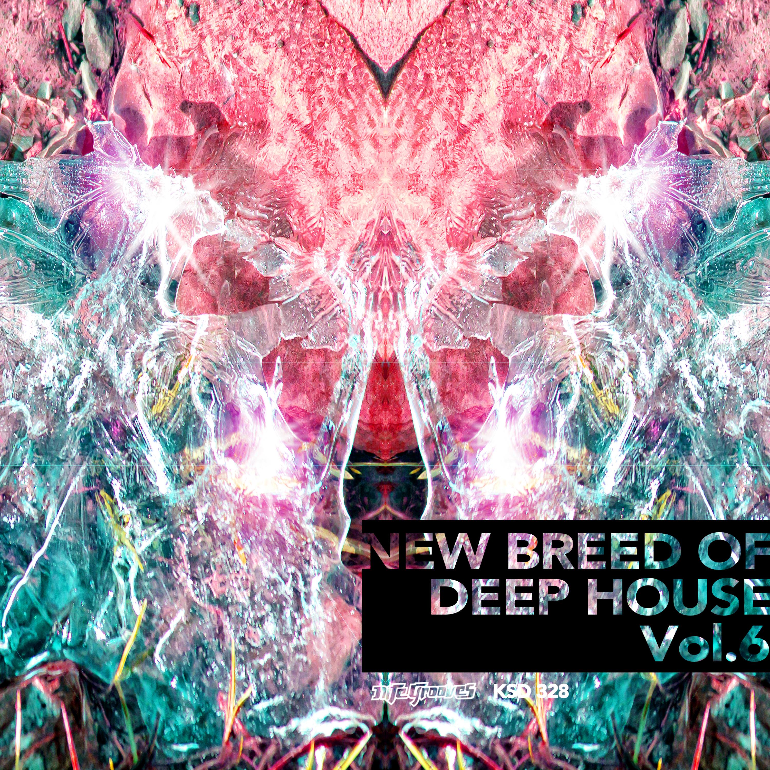 New Breed of Deep House Vol. 6