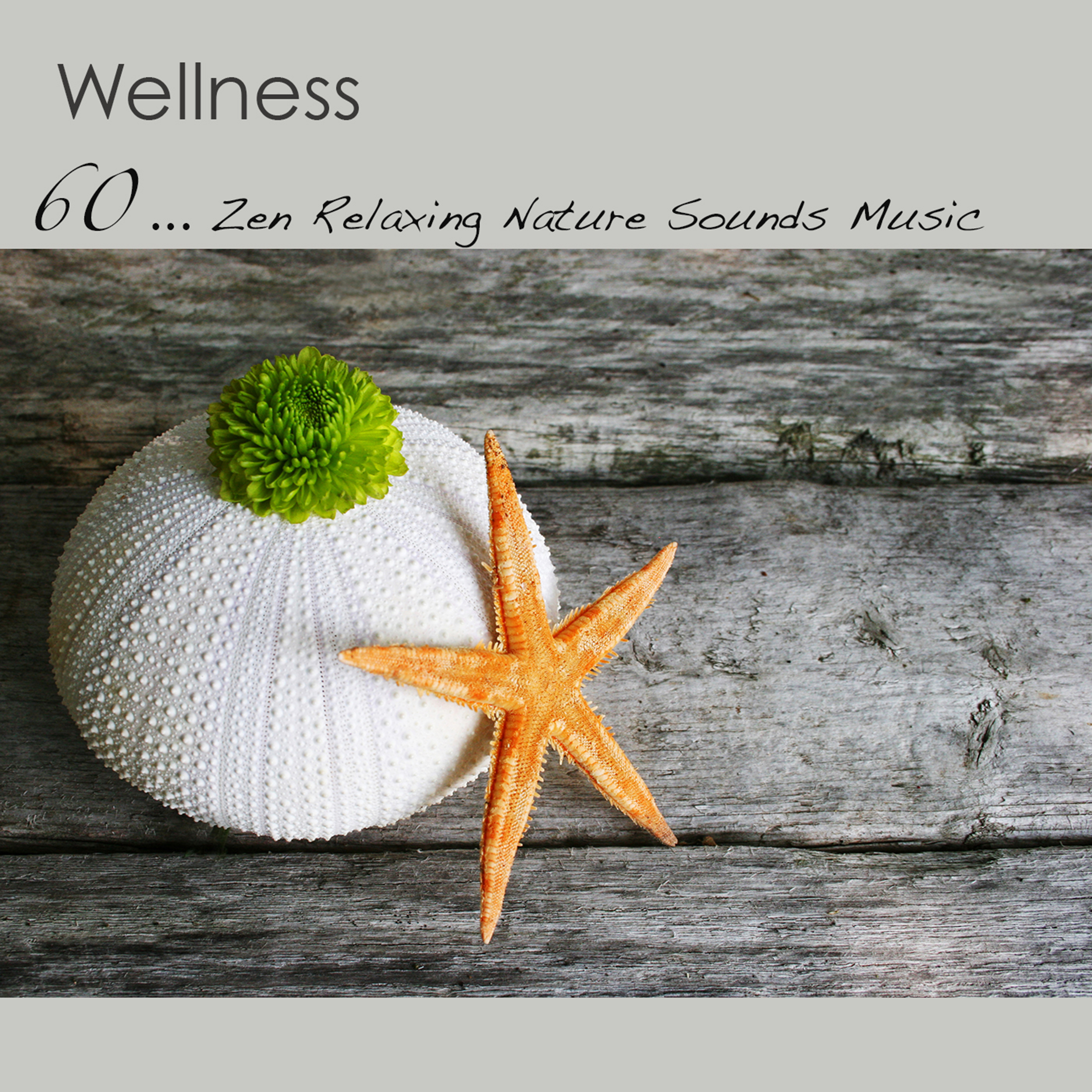 Wellness: 60 Zen Relaxing Nature Sounds Music for Pilates, Yoga, Reiki & Qi Gong, Flute & Piano Music for Peace and Calm