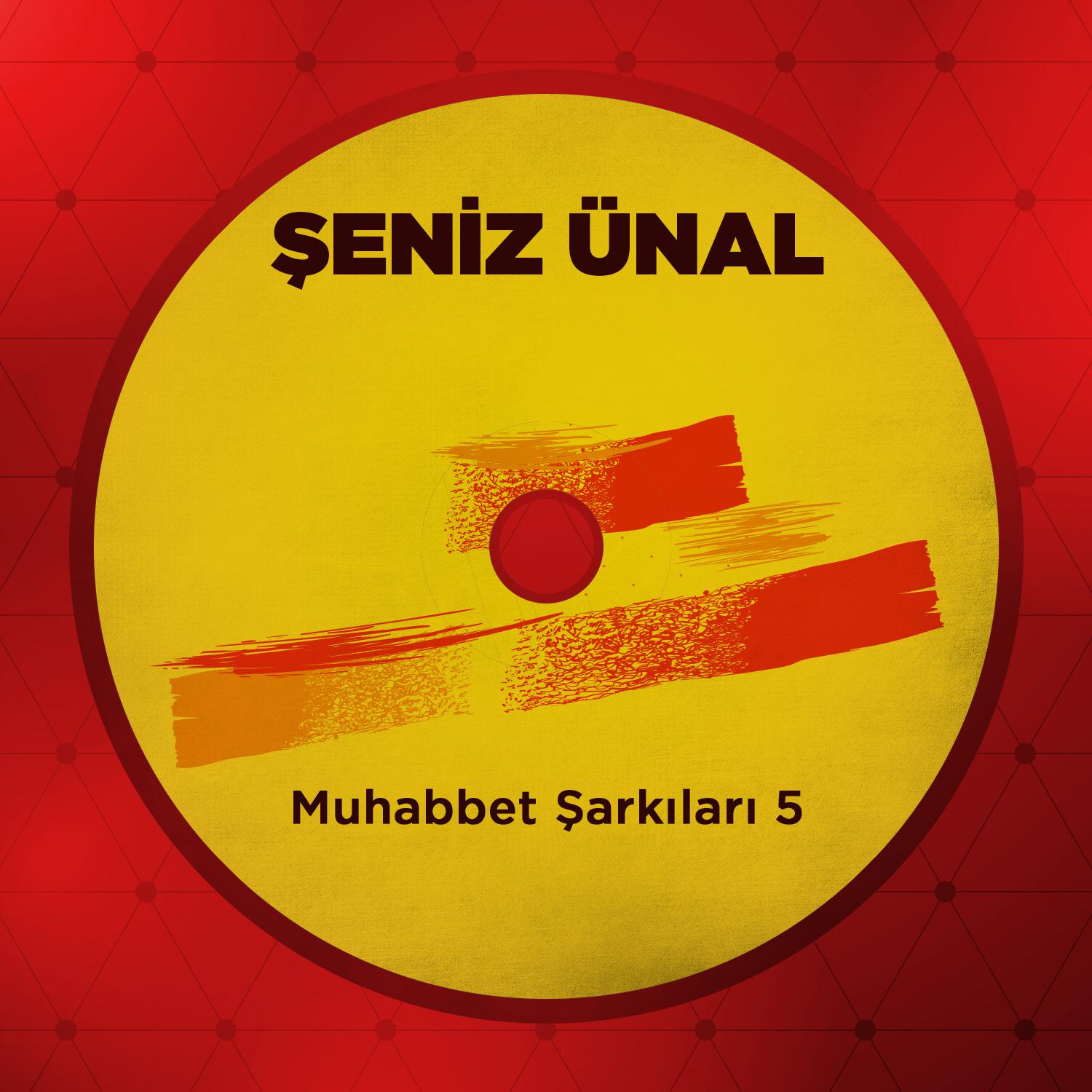 Muhabbet Şarkıları, Vol. 5