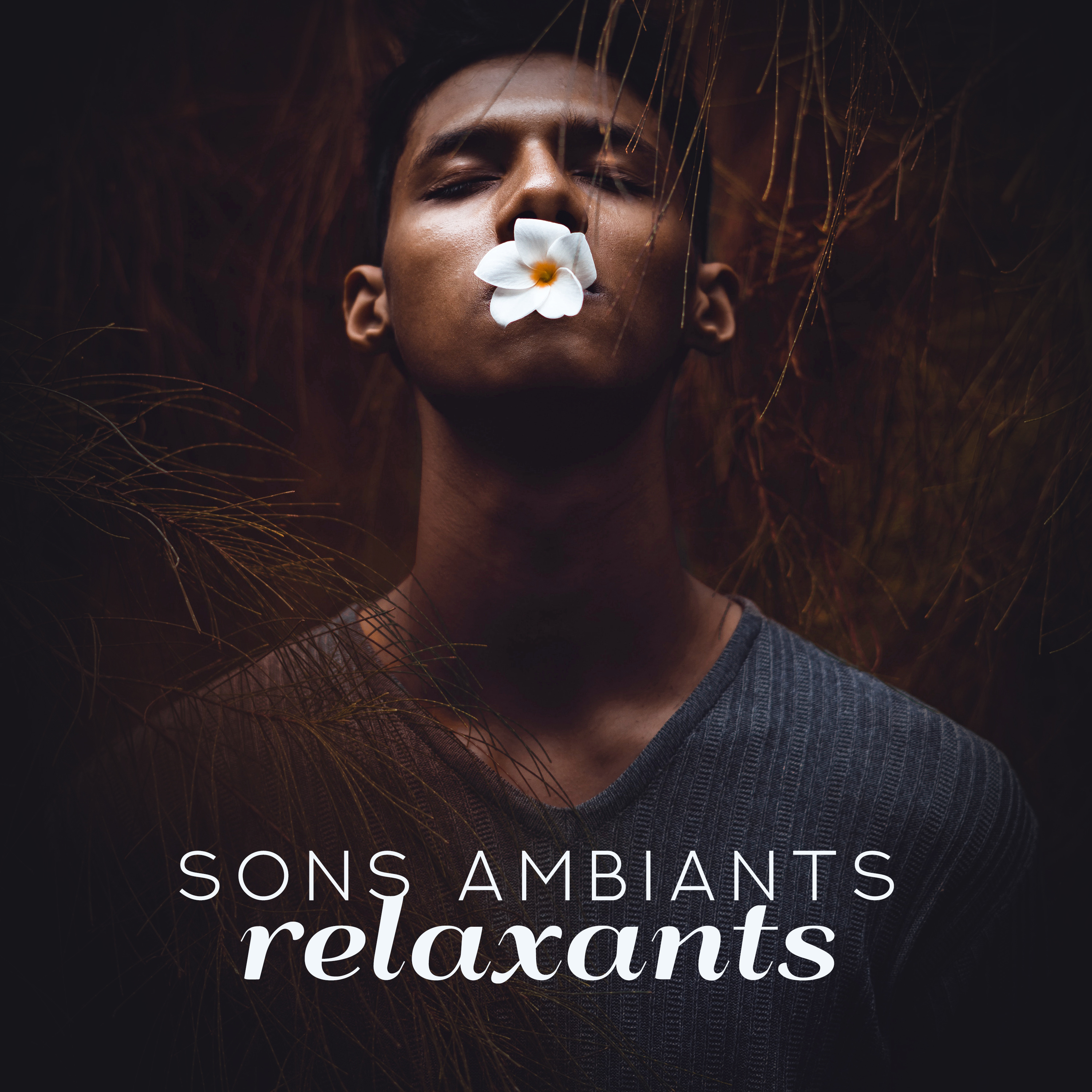 Sons ambiants relaxants (Puissance intérieure, Sommeil profond, Guérison, Musique instrumentale, Relaxation, Repos, Soulagement du stress)