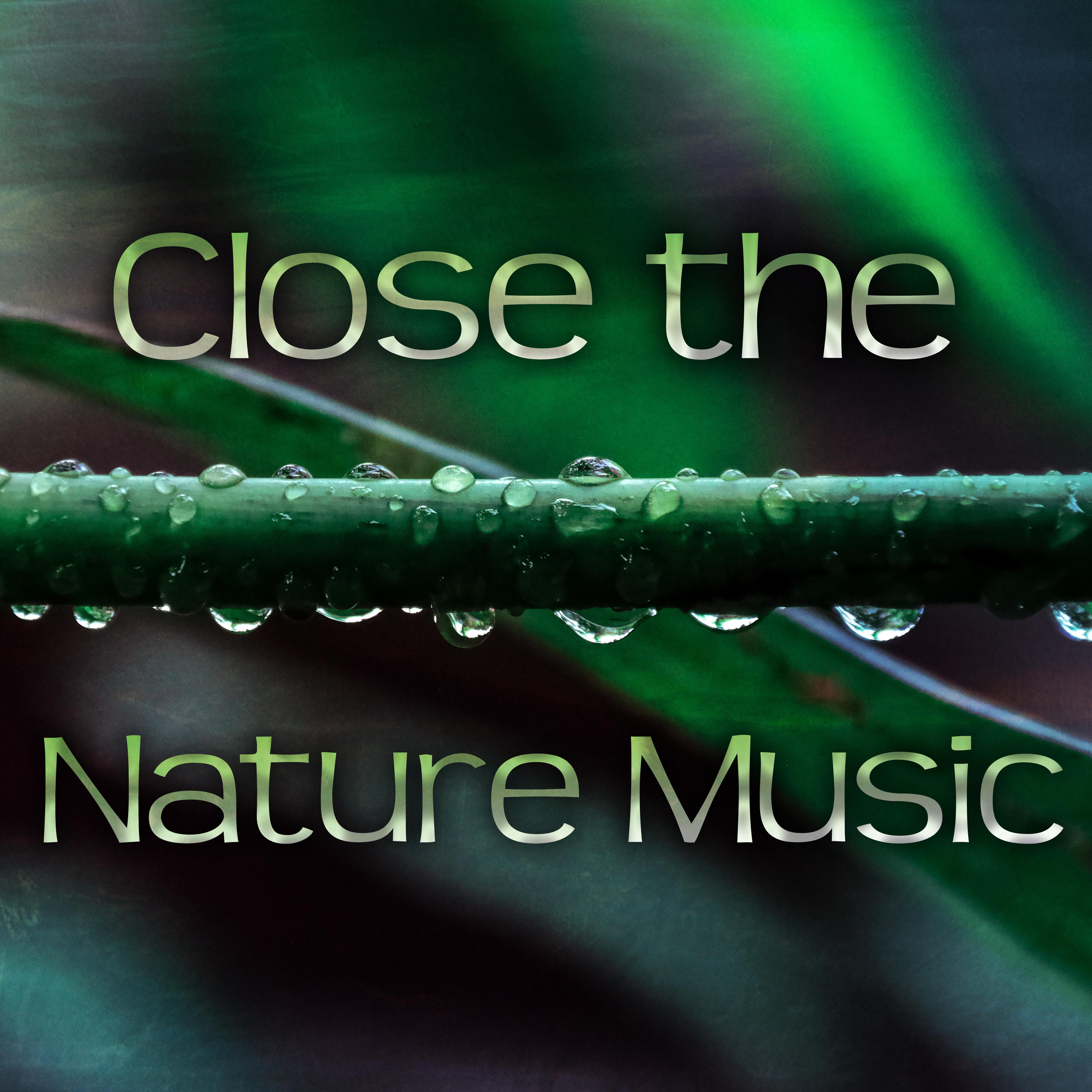 Close the Nature Music – New Age Music for Total Relaxation, Massage Therapy, Yoga, Pilates, Spa, Nature Sounds