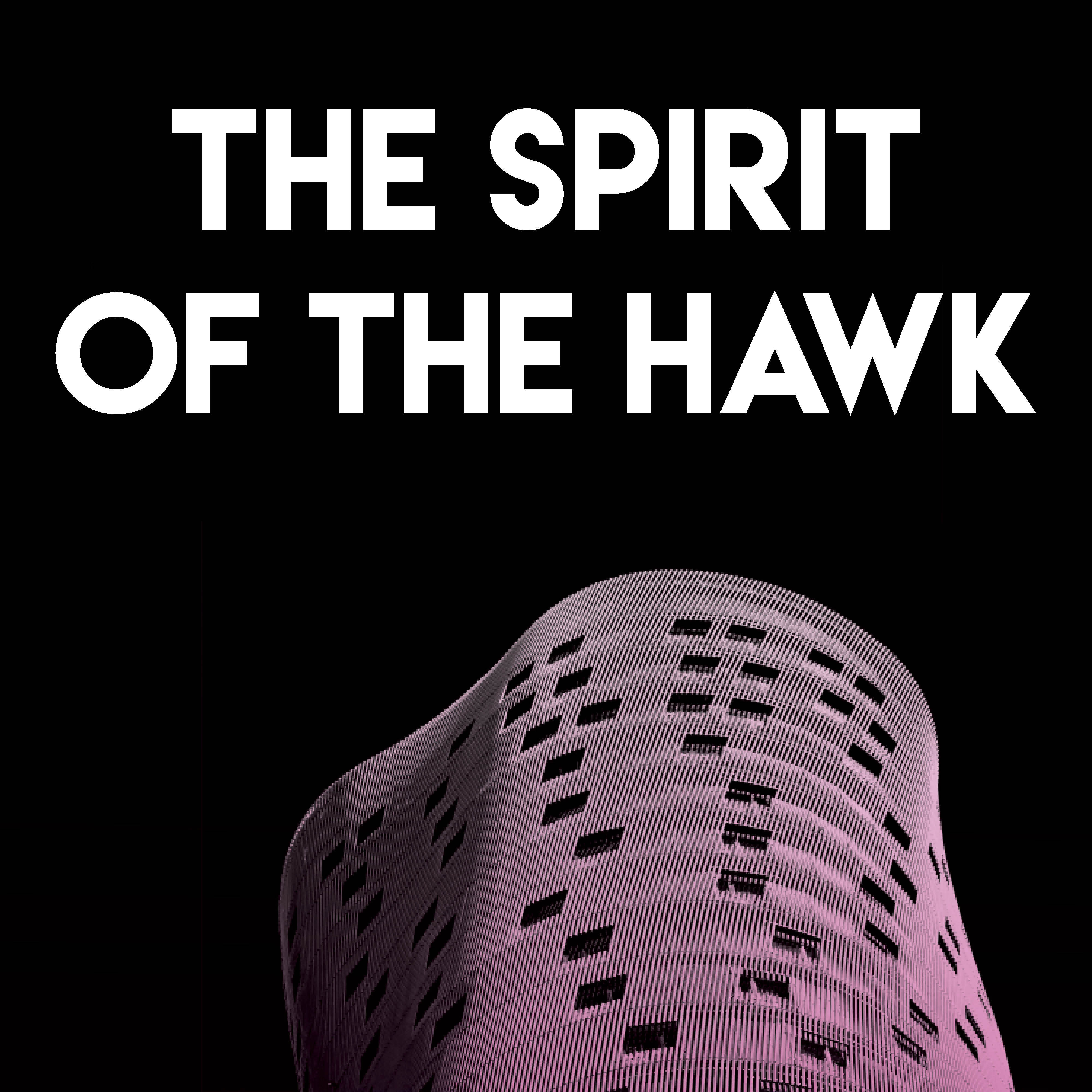 The Spirit of the Hawk