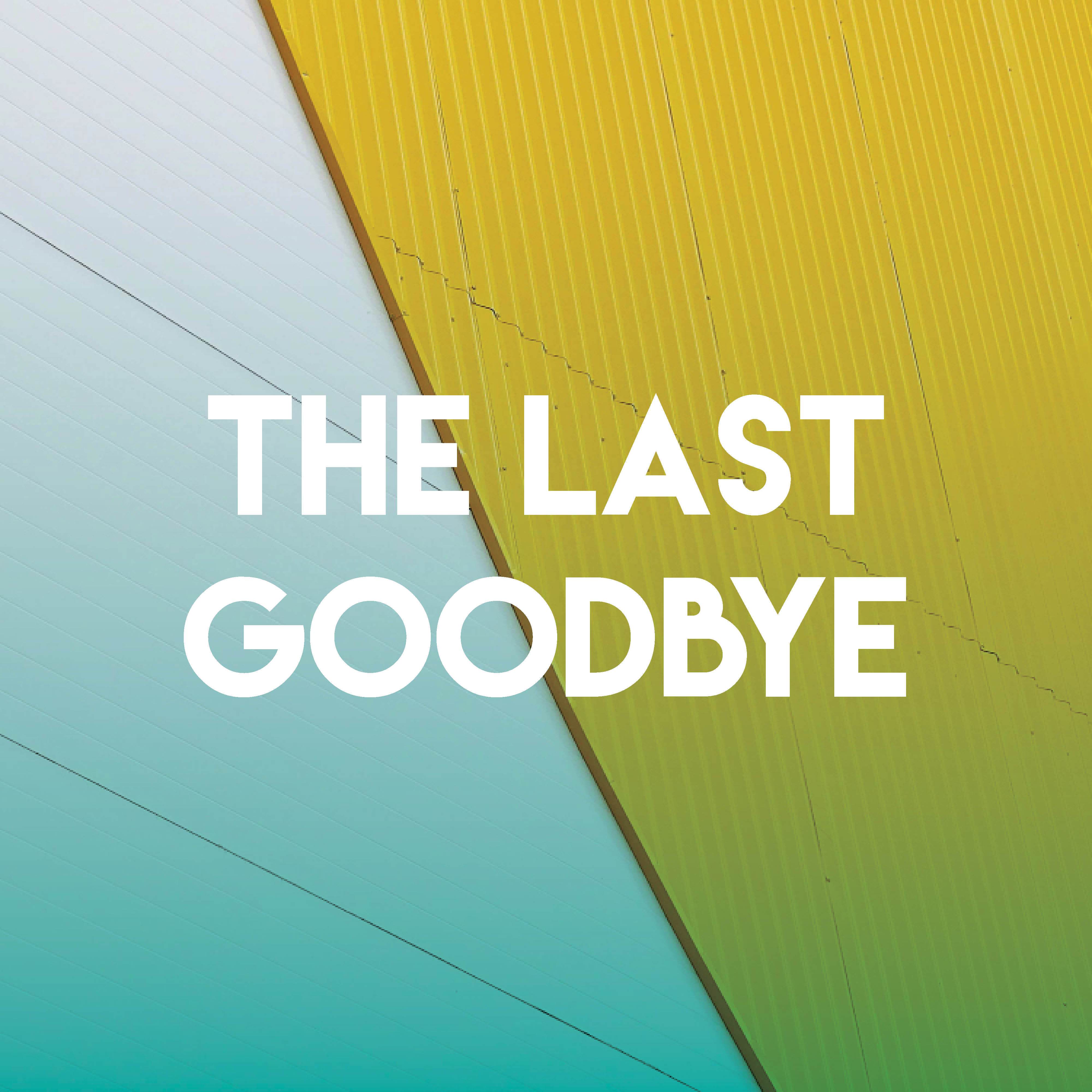 The Last Goodbye