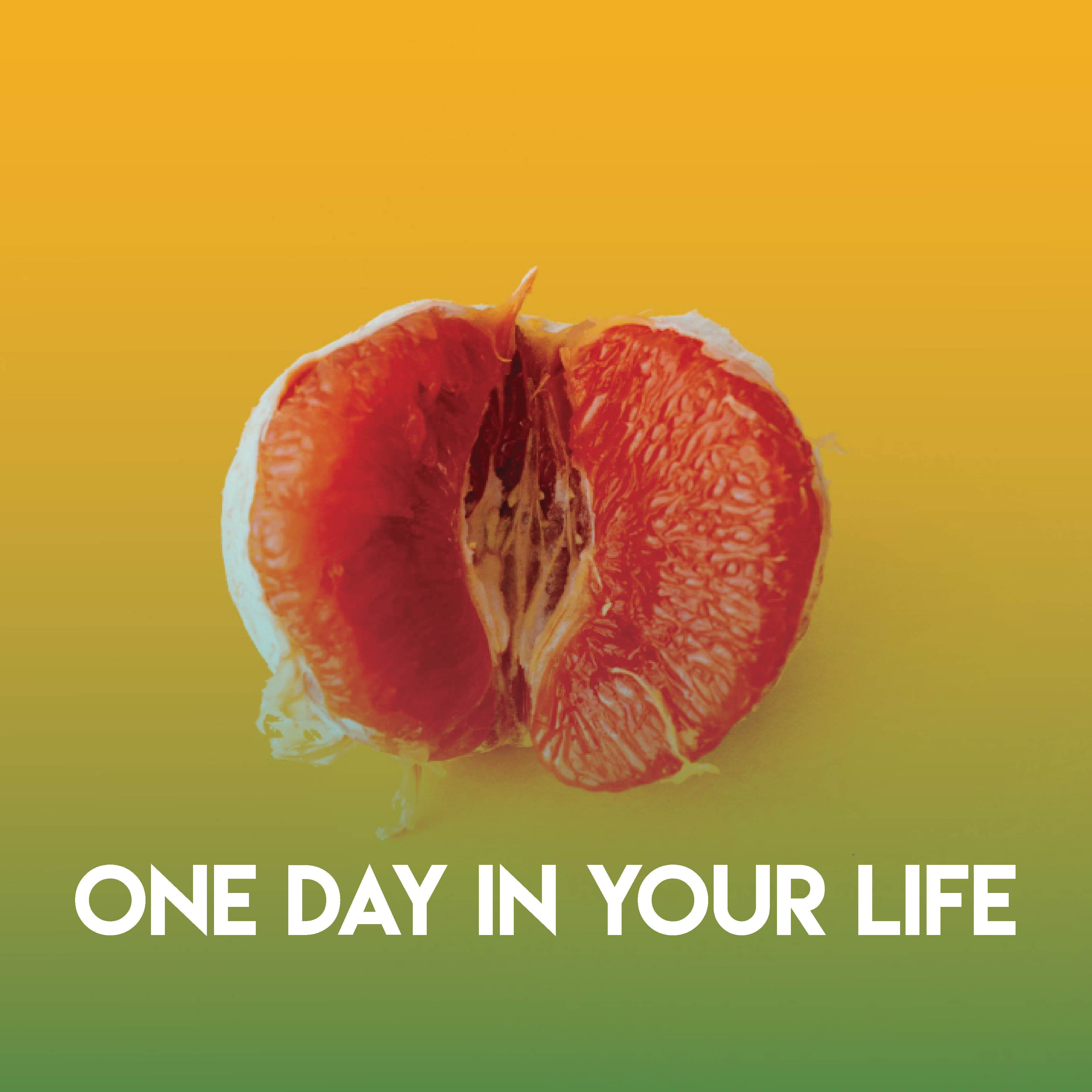 One Day in Your Life