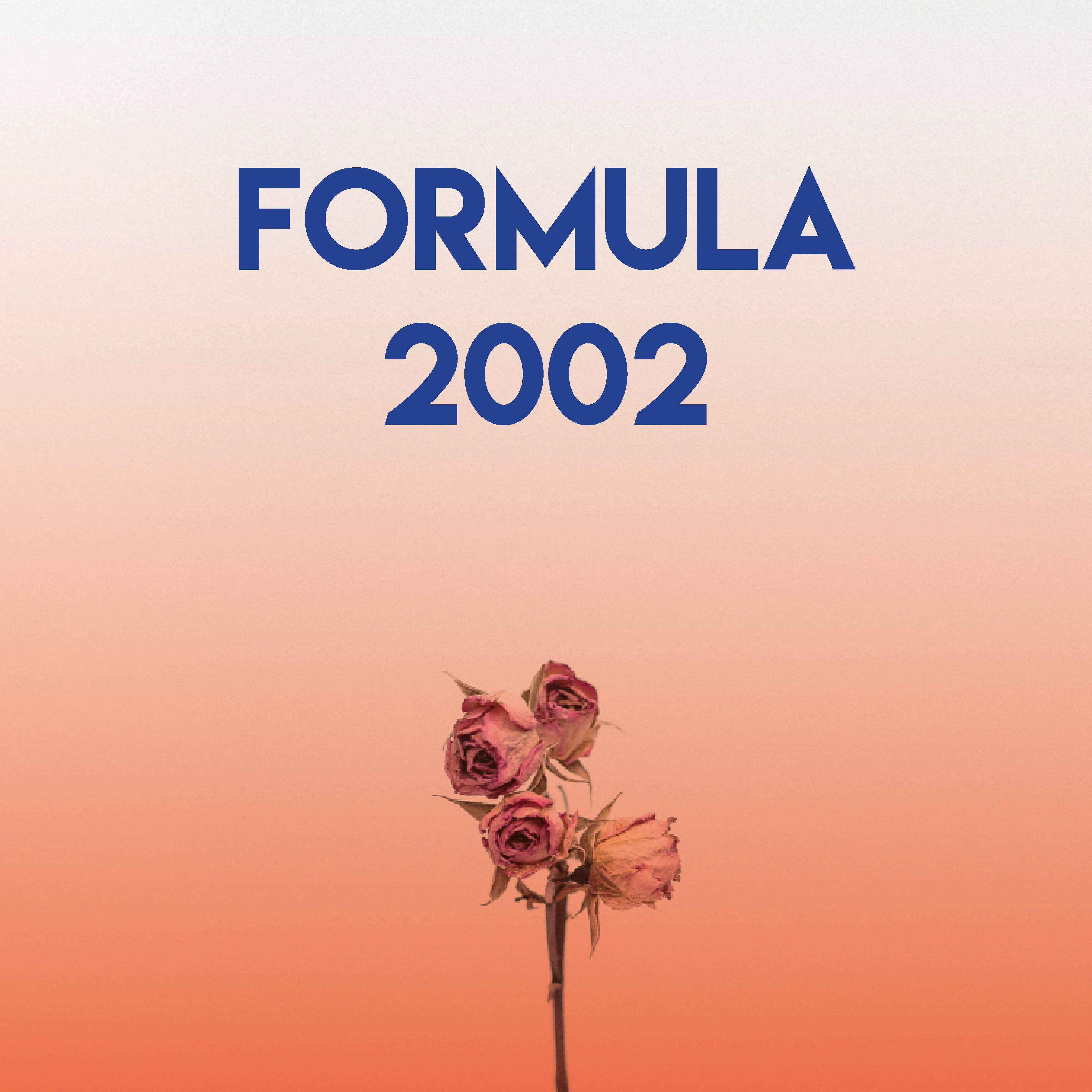 Formula 2002