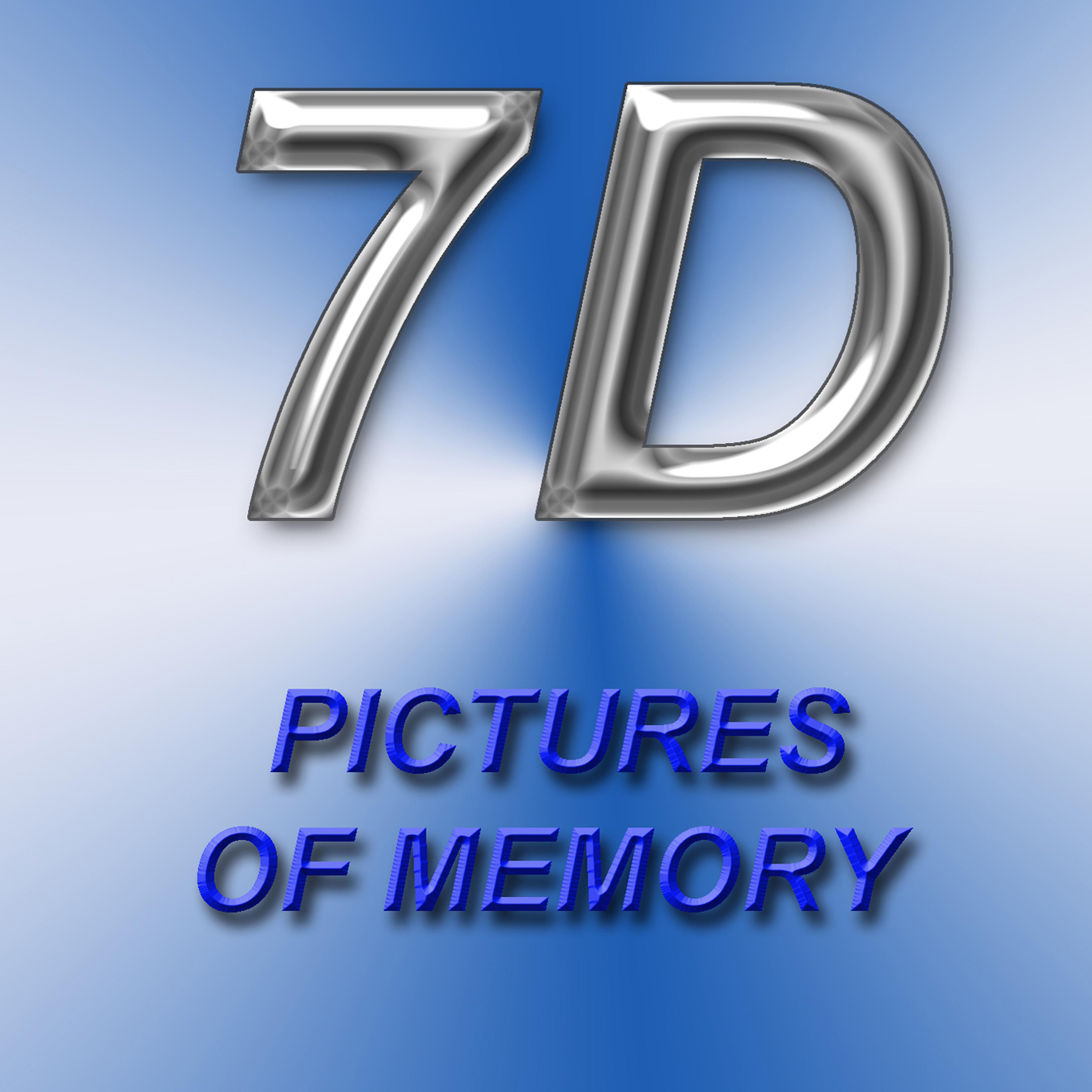 Pictures of Memory