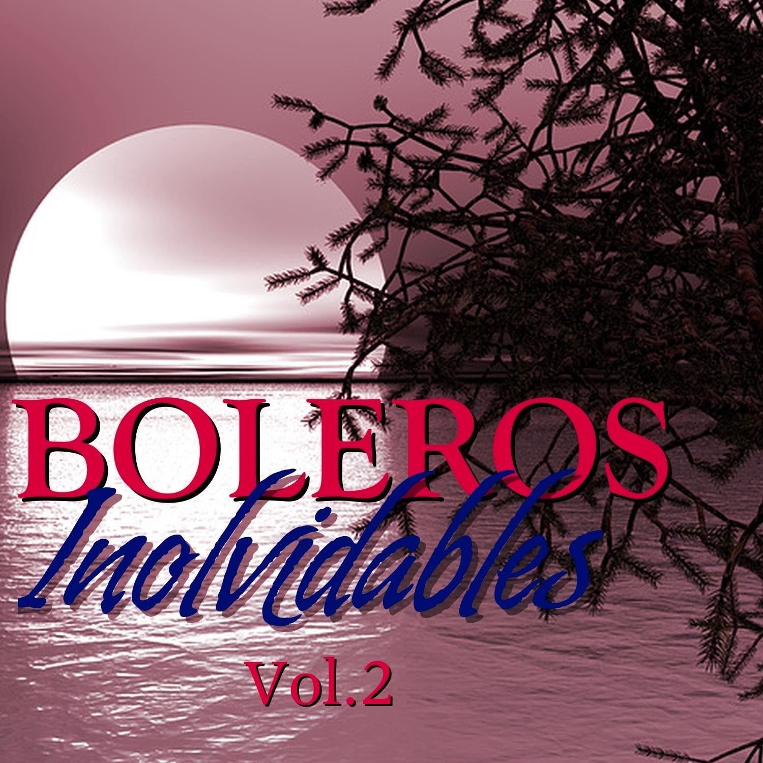 Boleros Inolvidables Vol.2