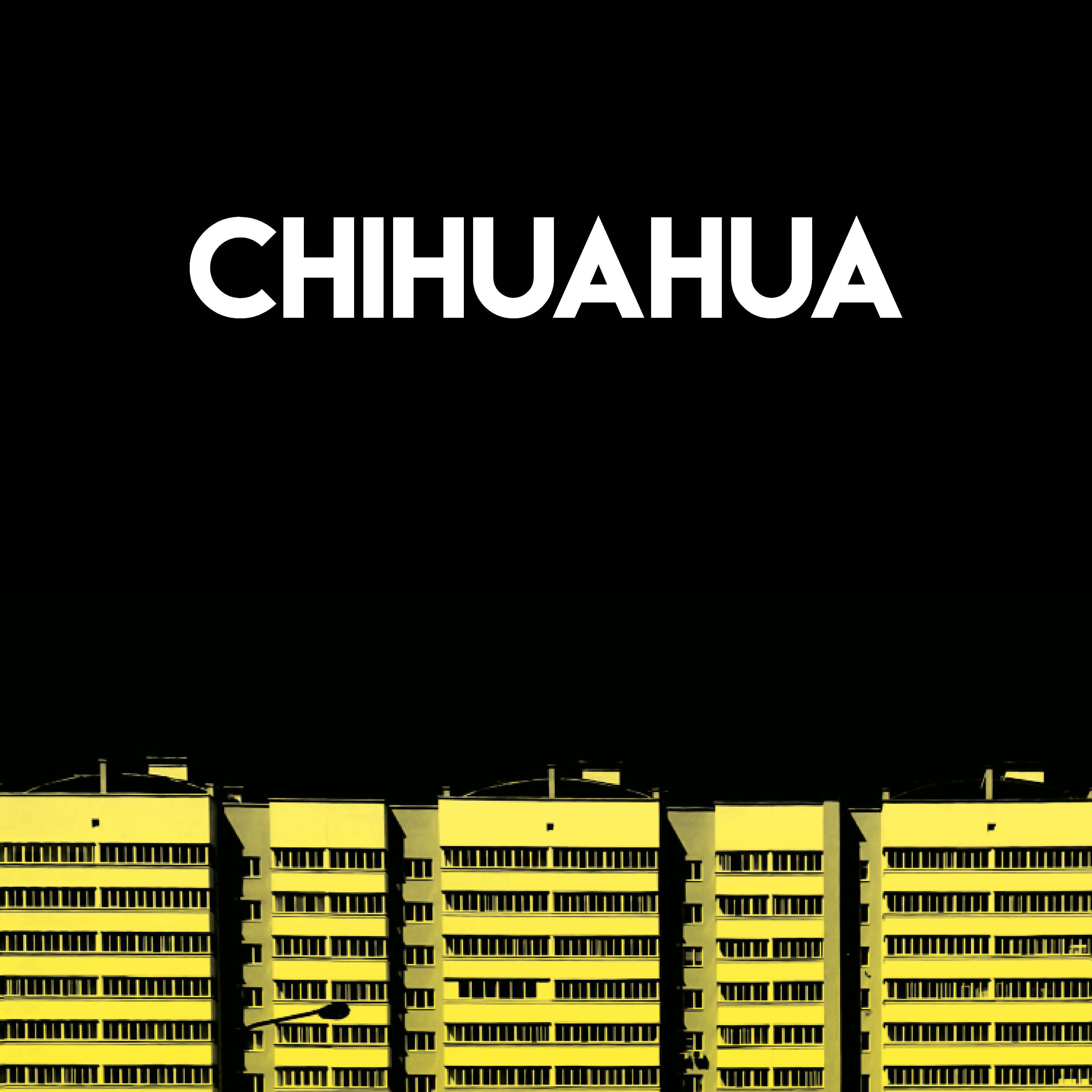 Chihuahua