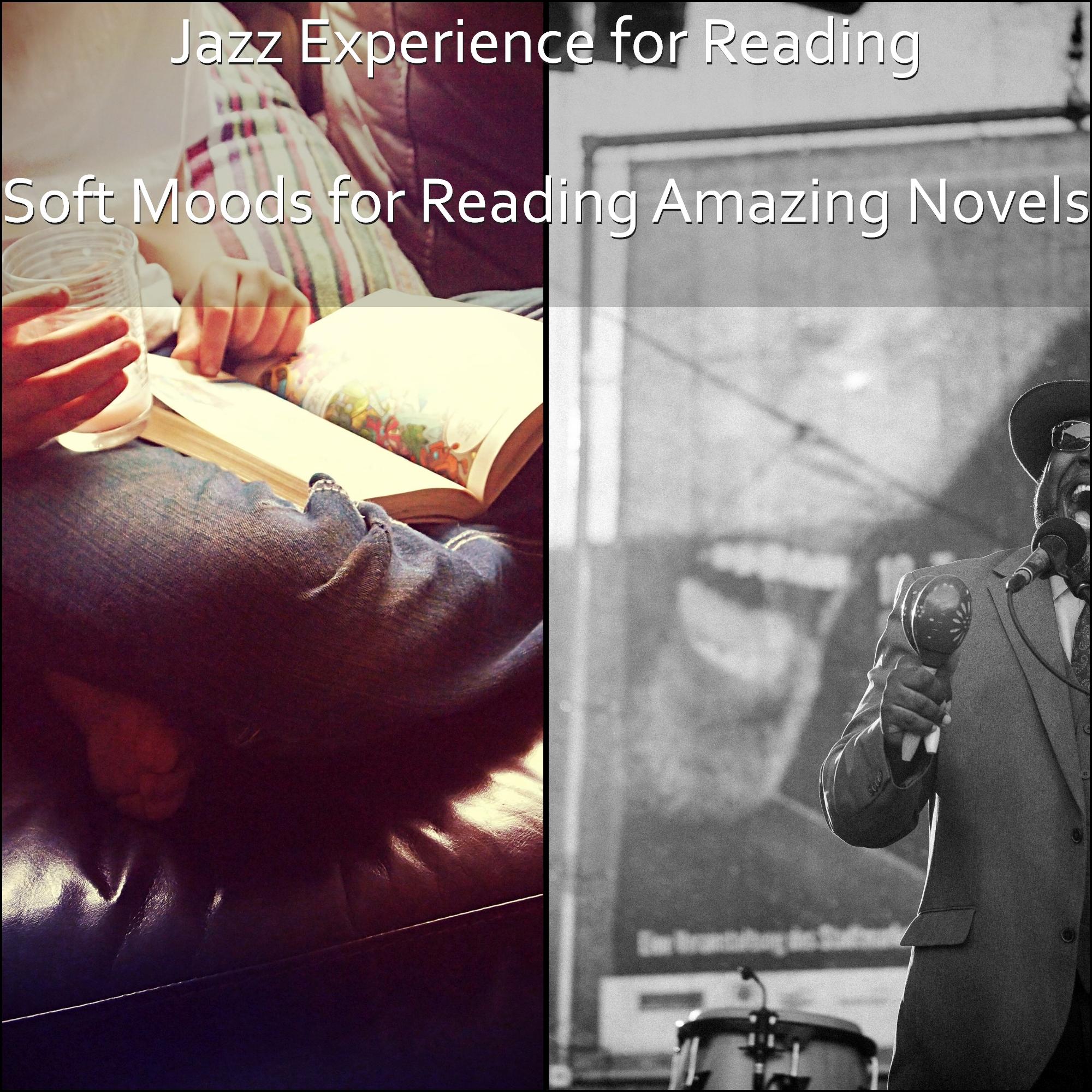 Soft Moods for Reading Amazing Novels