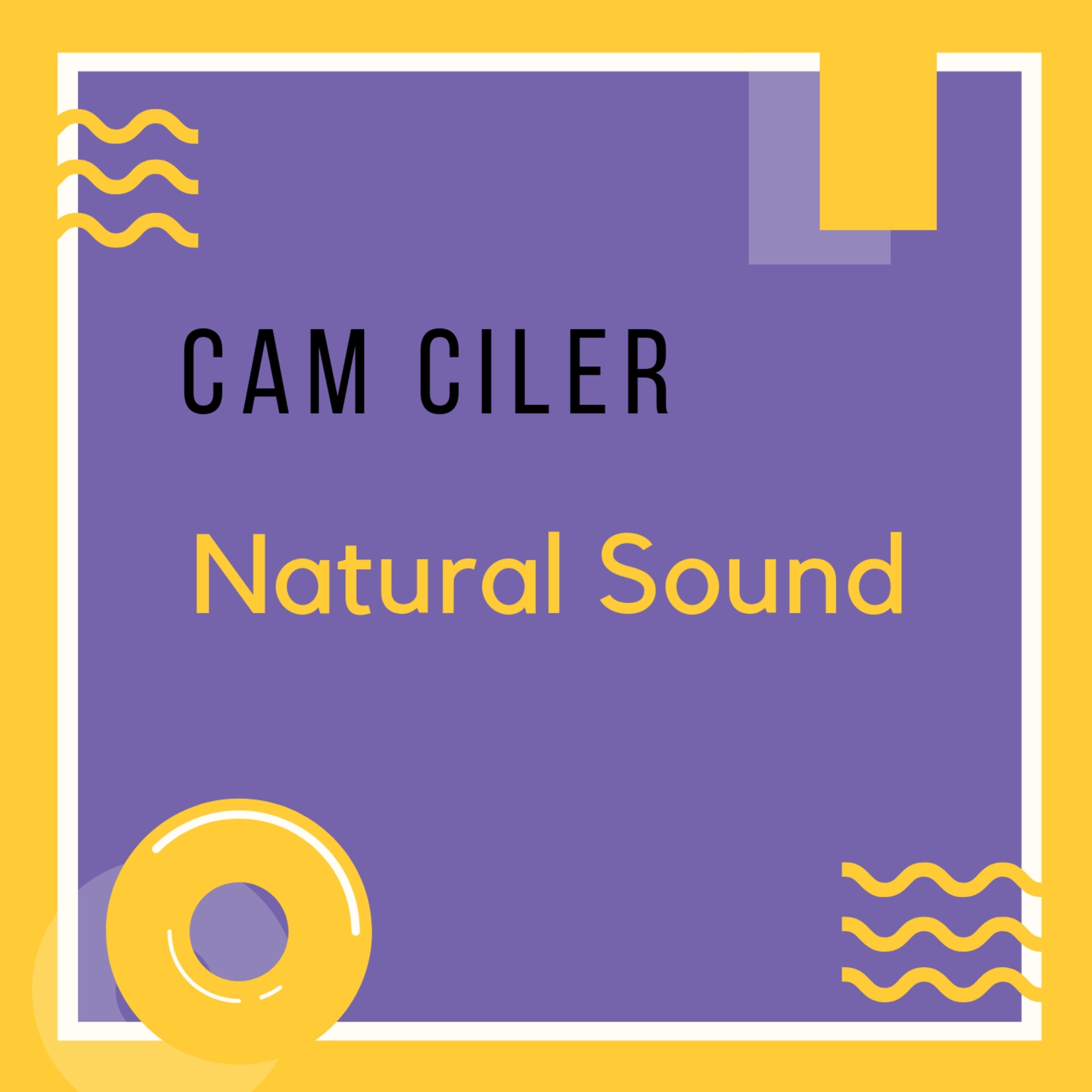 Natural Sound