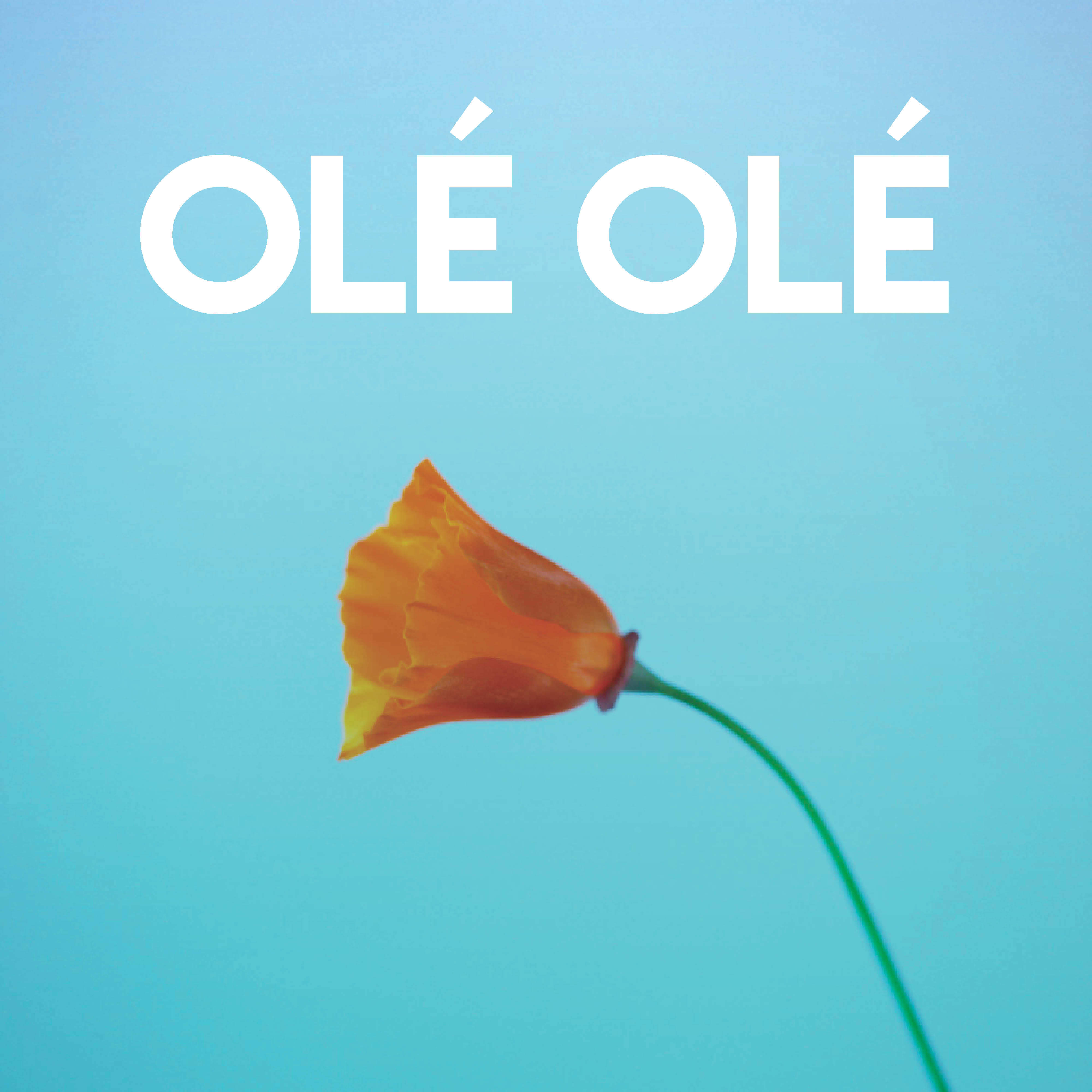 Olé Olé