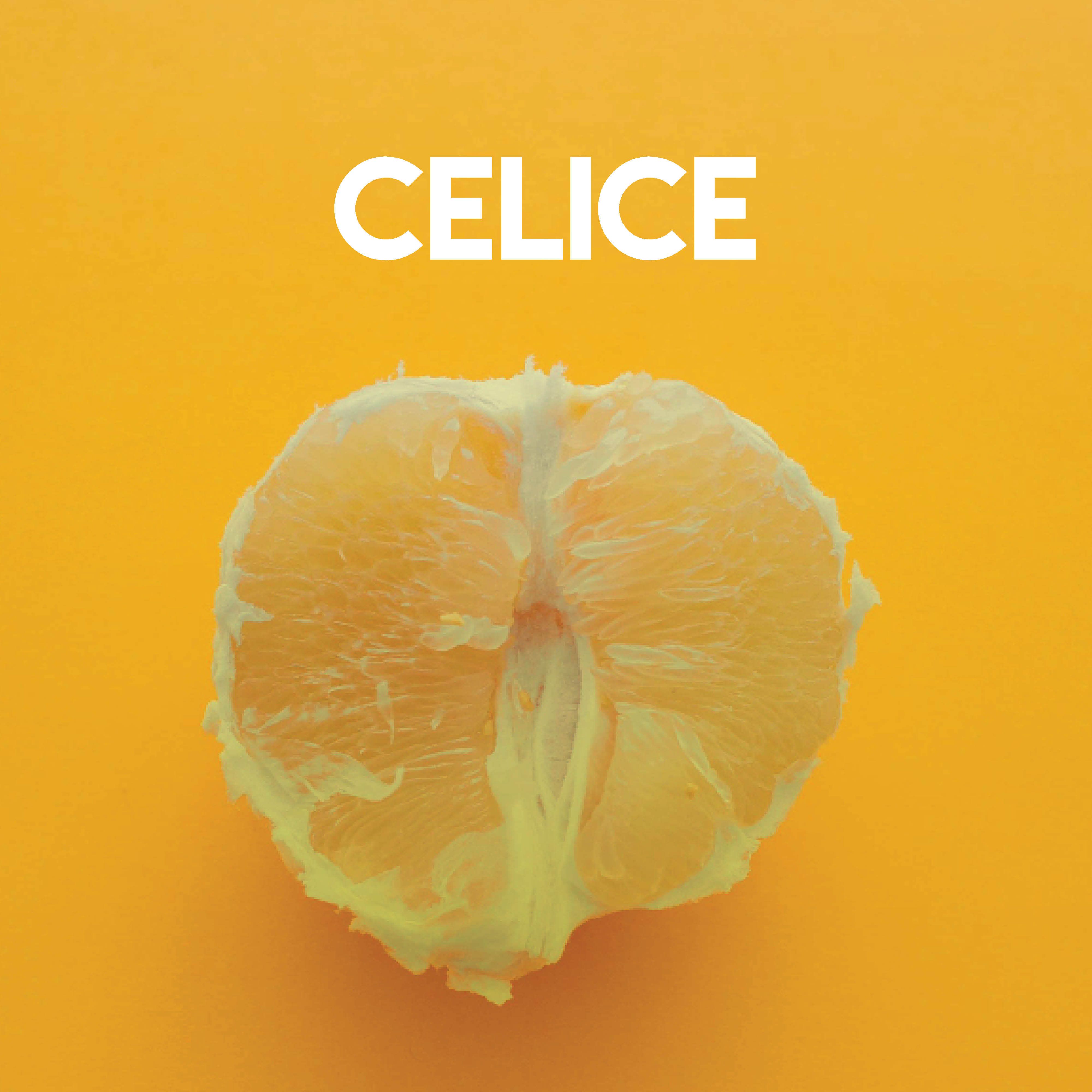 Celice