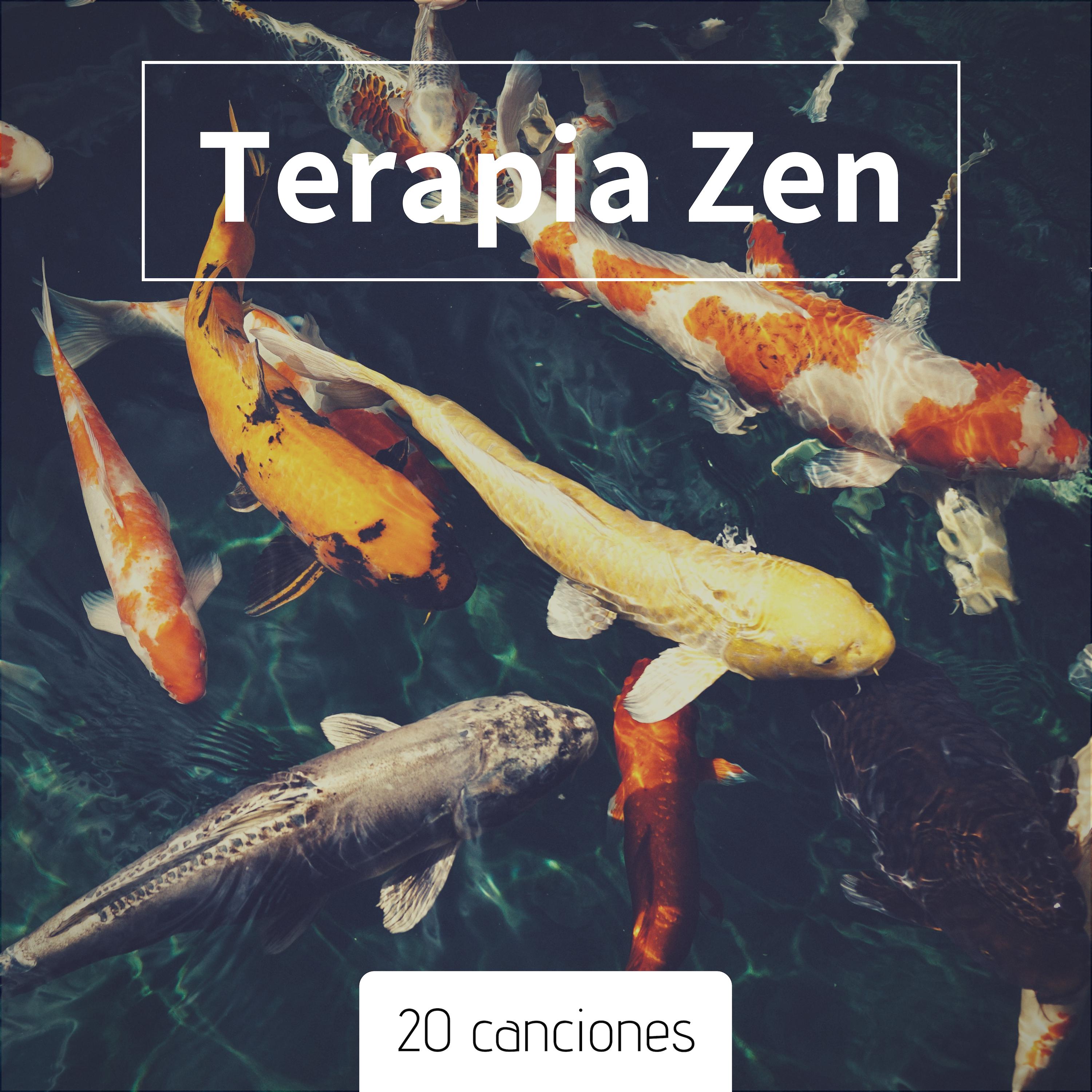 Terapia Zen: 20 Canciones