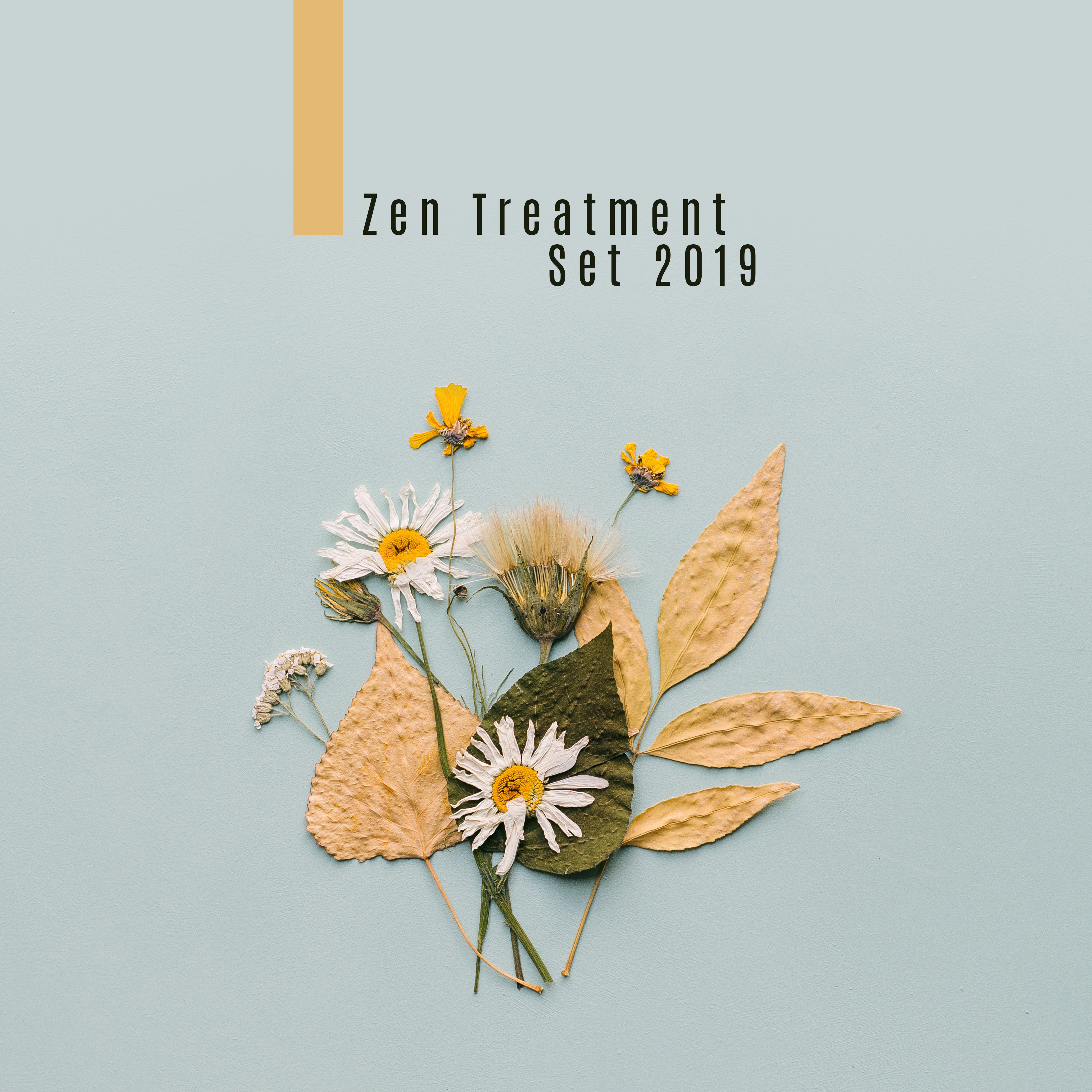 Zen Treatment Set 2019