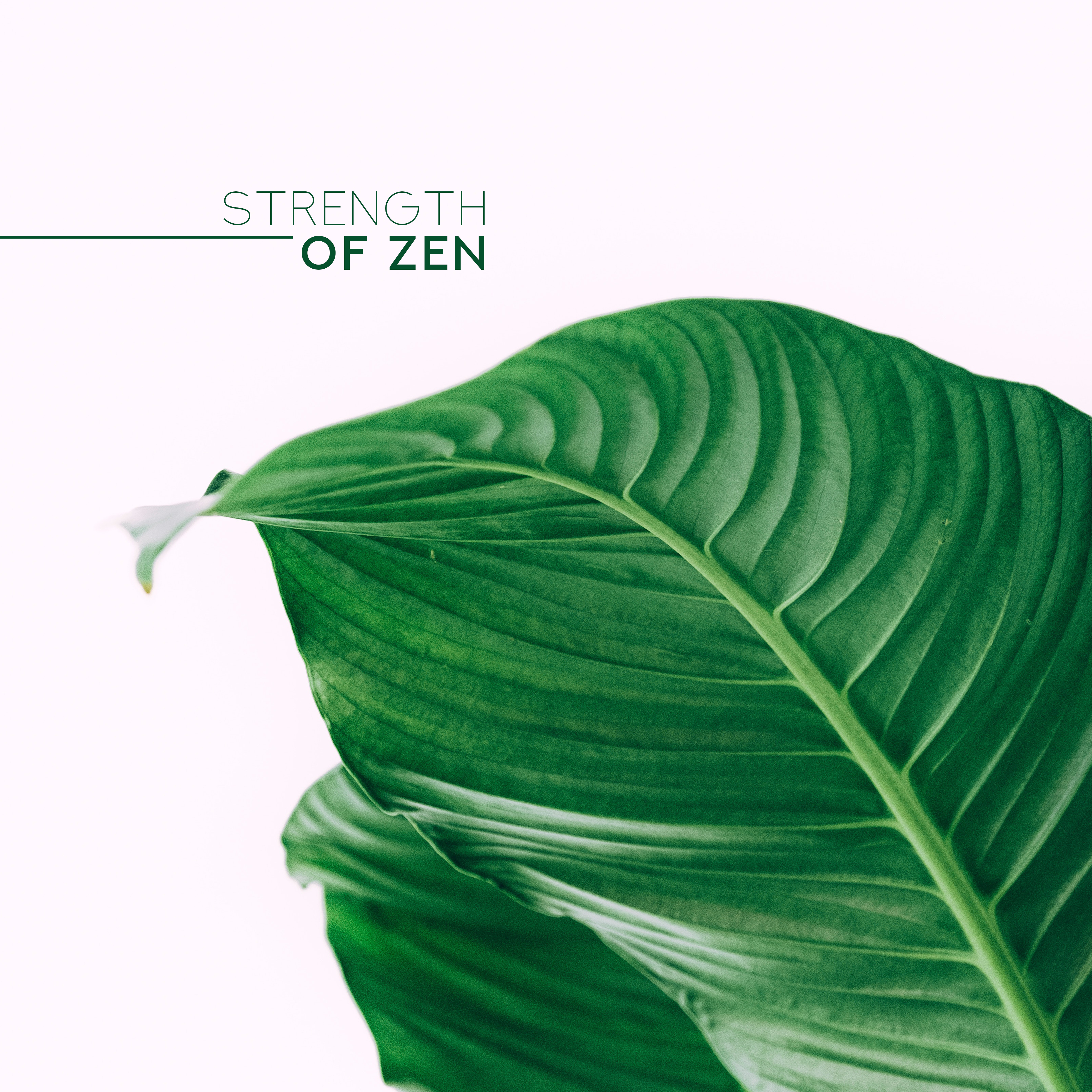 Strength of Zen