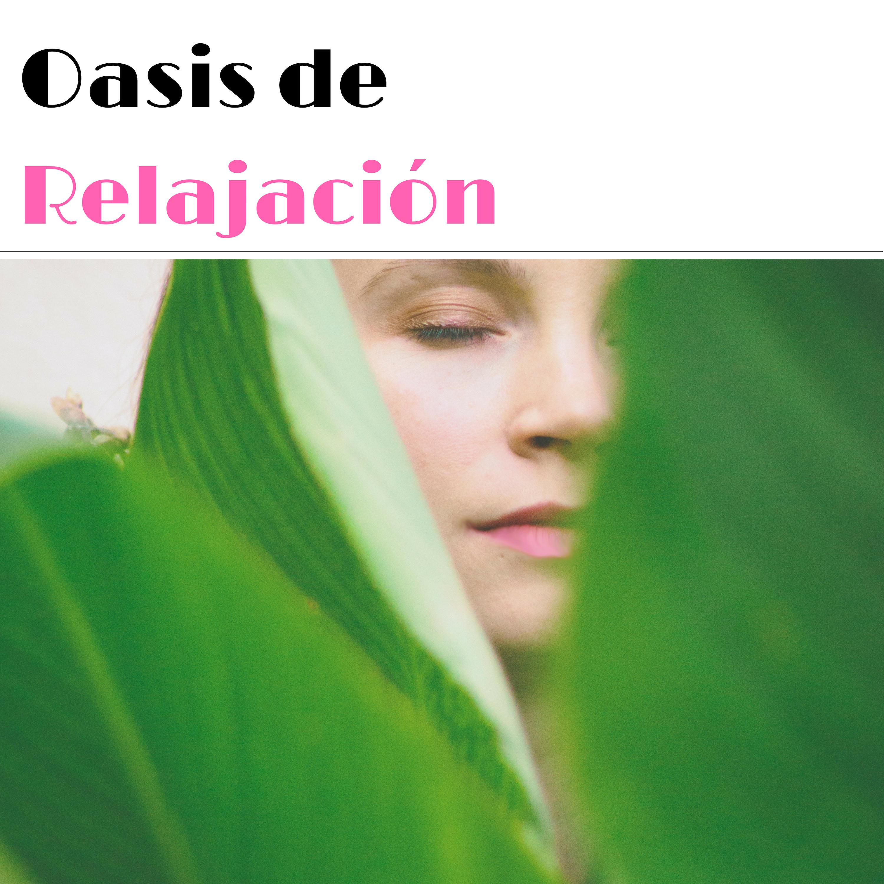 Oasis de Relajación - Selección de 20 Canciones de Relax Cuerpo y Mente Antes de Dormir Niños y Adultos