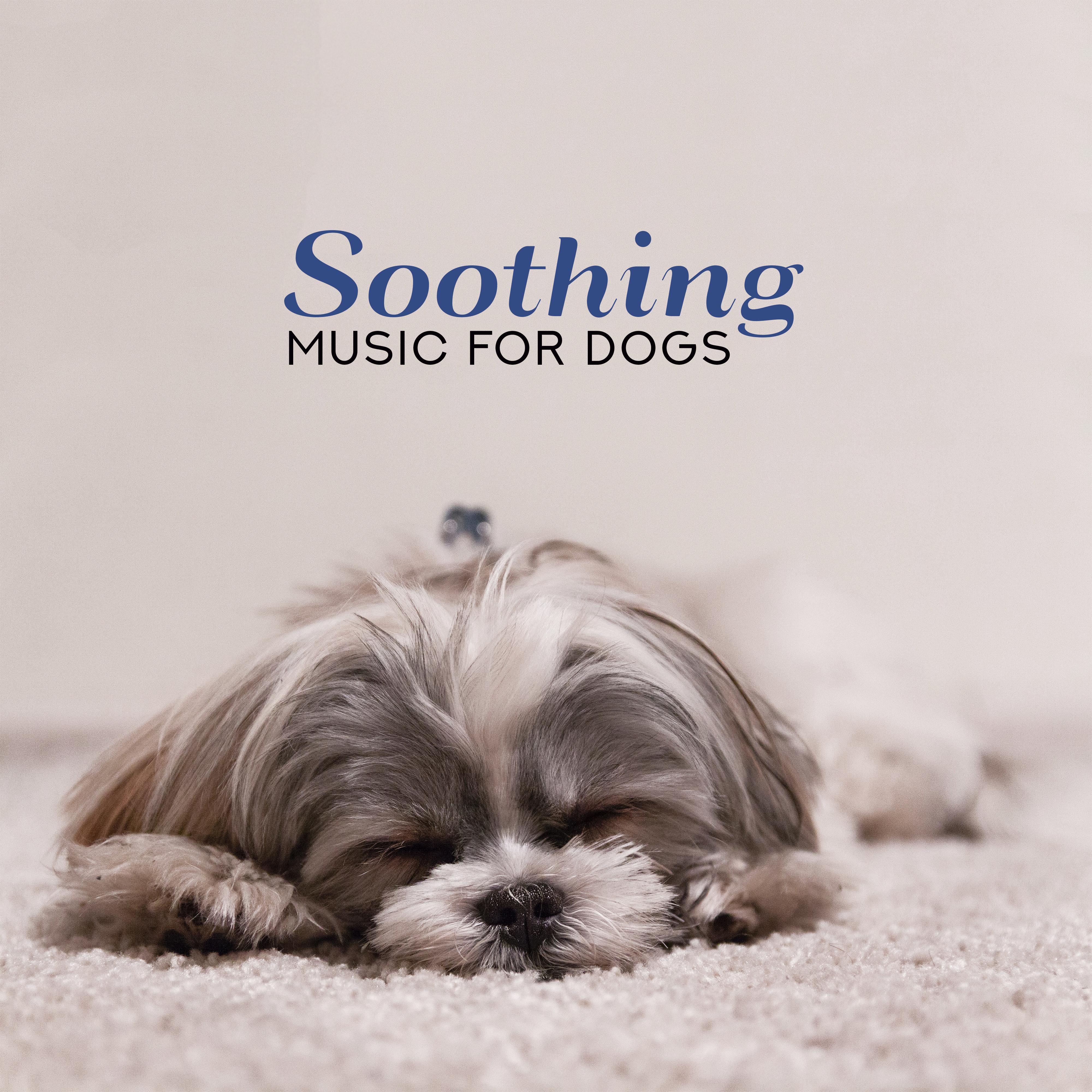 Soothing Music for Dogs – Relaxing Songs for Pets, Stress Relief, Calm Down, Pure Relaxation, Deeper Sleep