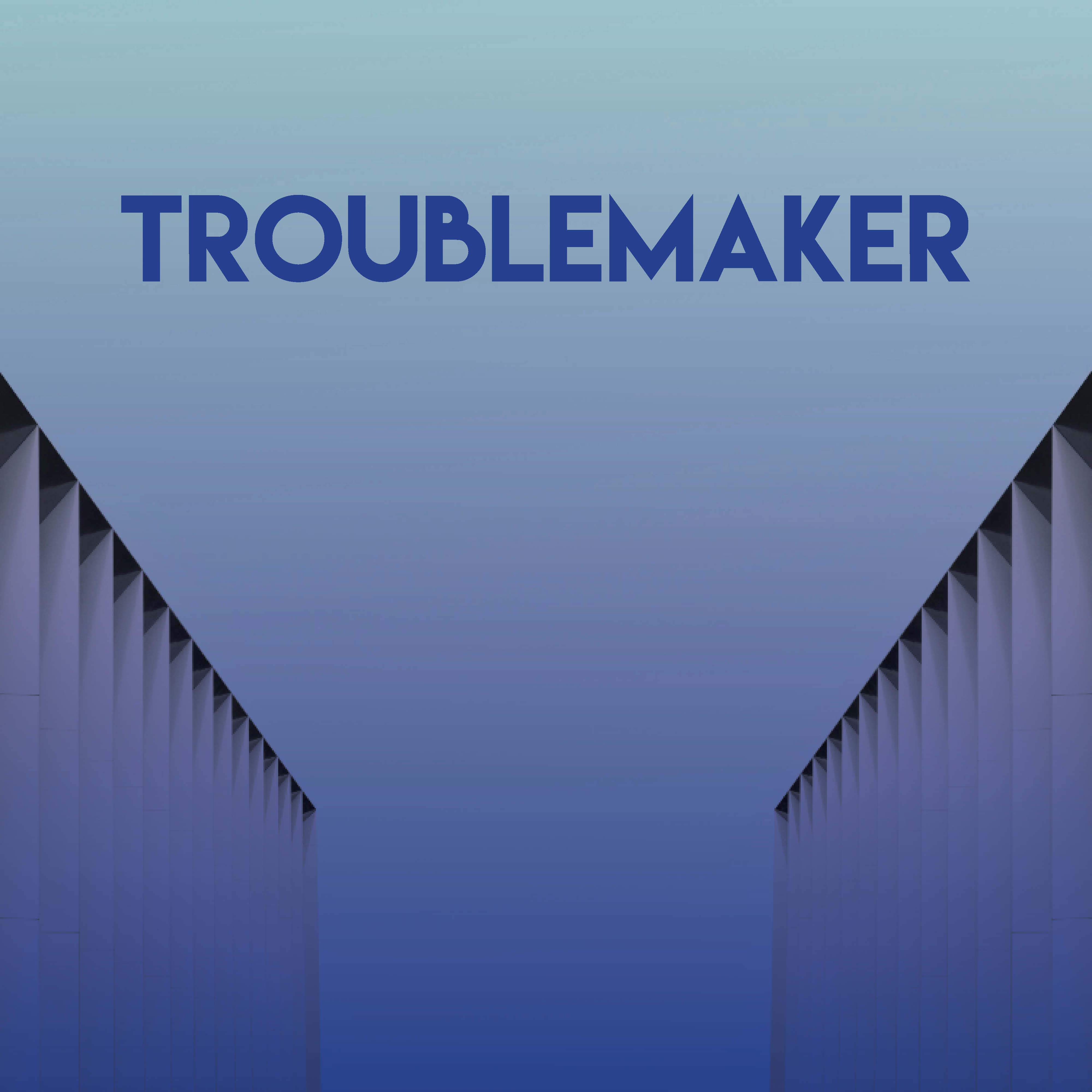 Troublemaker