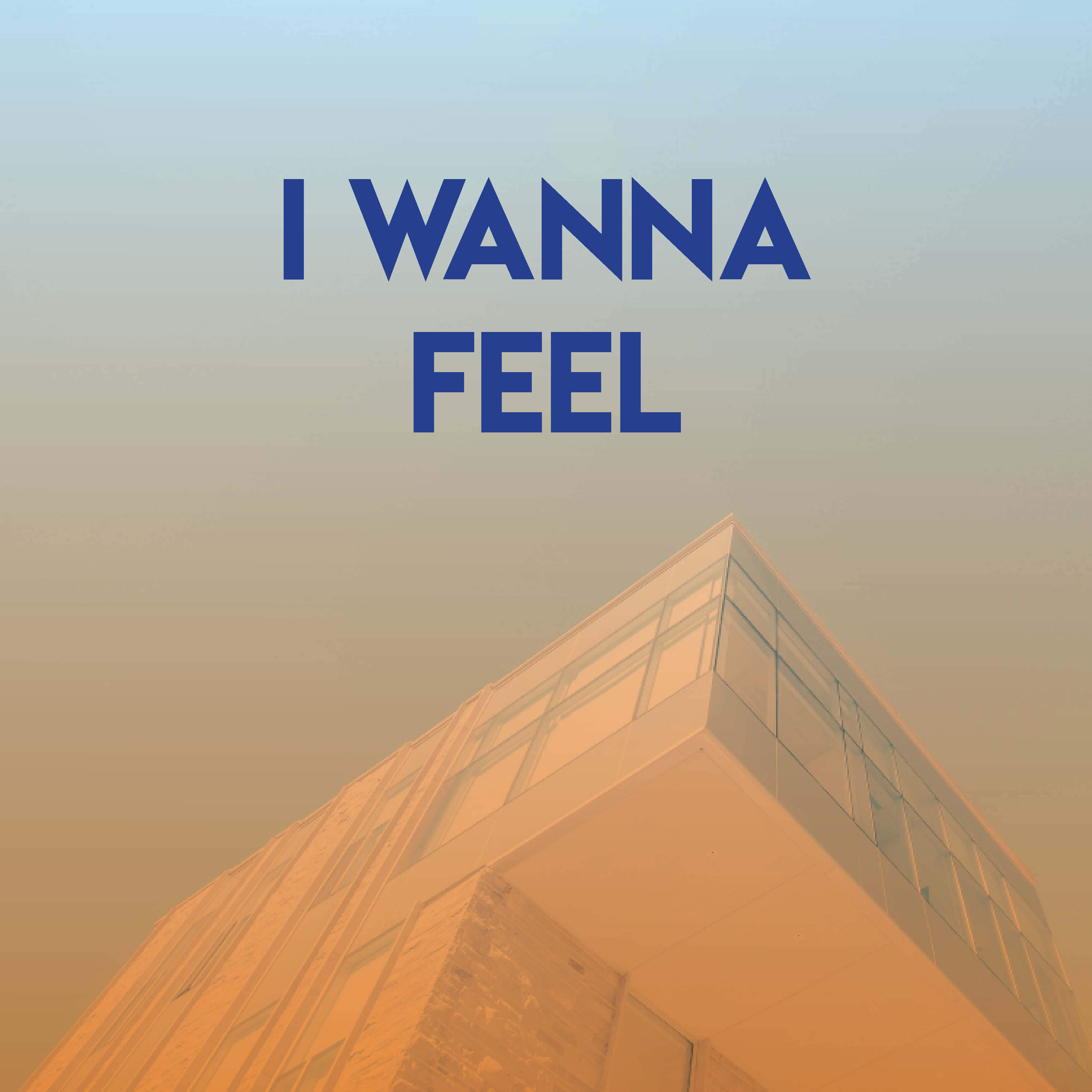 I Wanna Feel