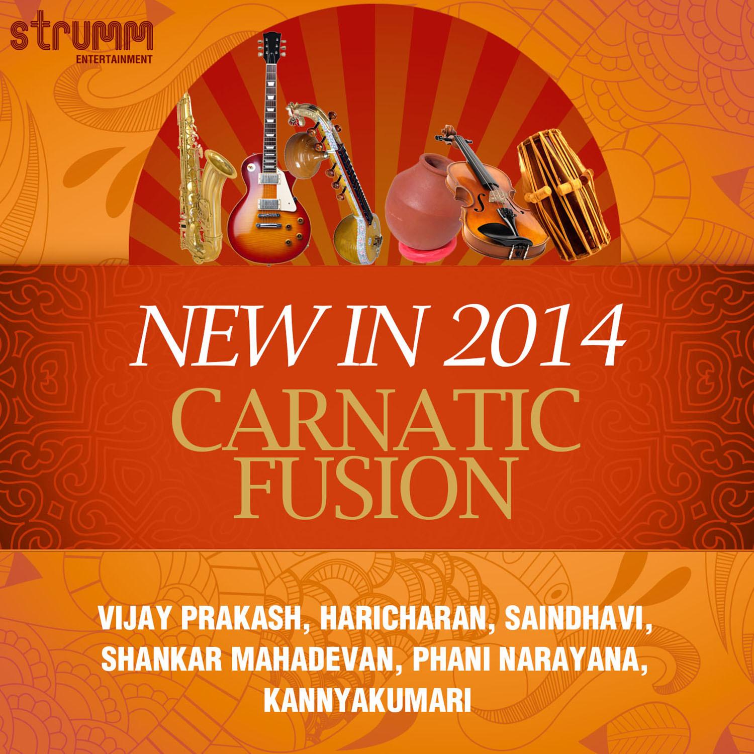 New in 2014: Carnatic Fusion