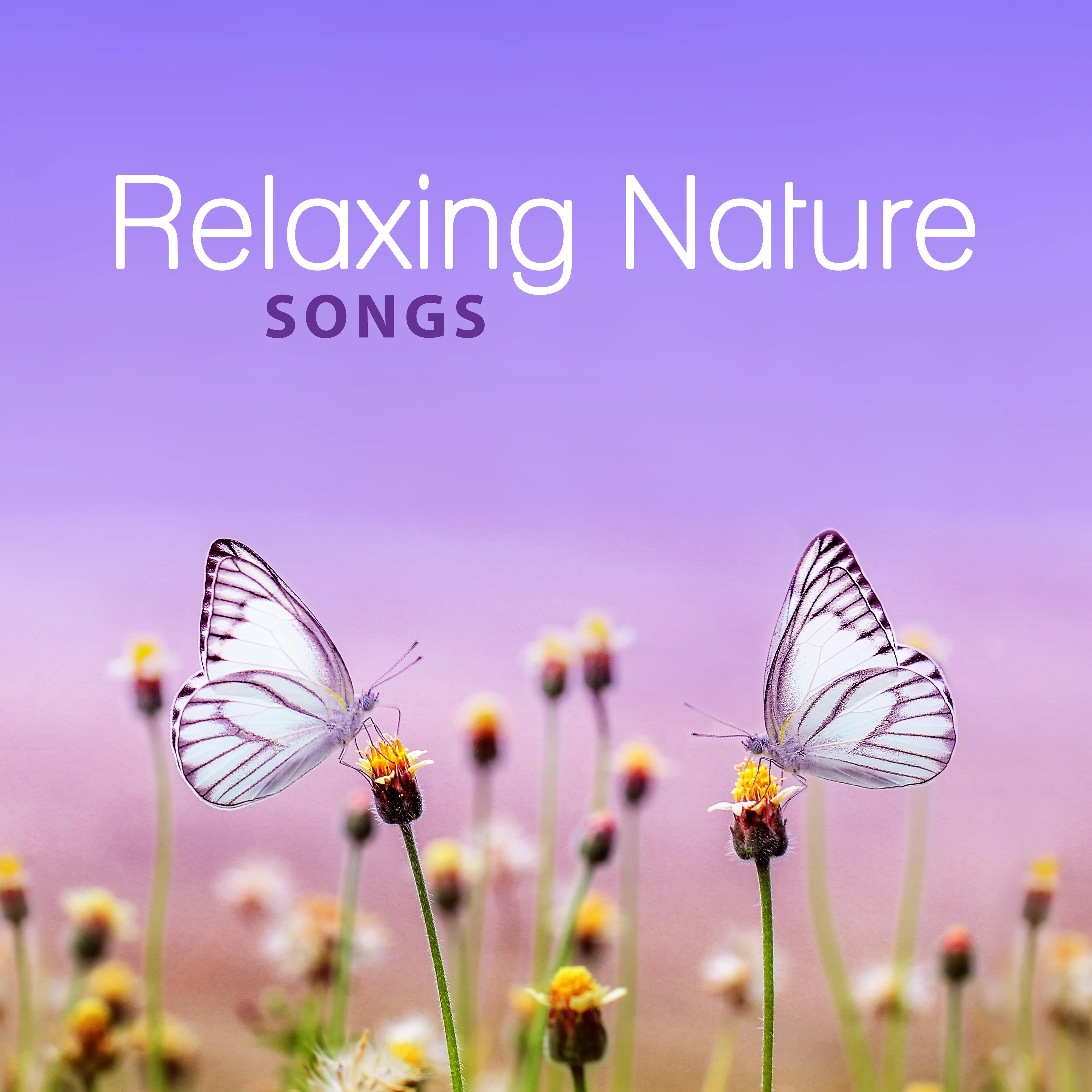 Relaxing Nature Songs – Soothing New Age Music for Relaxation, Relaxing Music, Relieve Stress, Calm Down