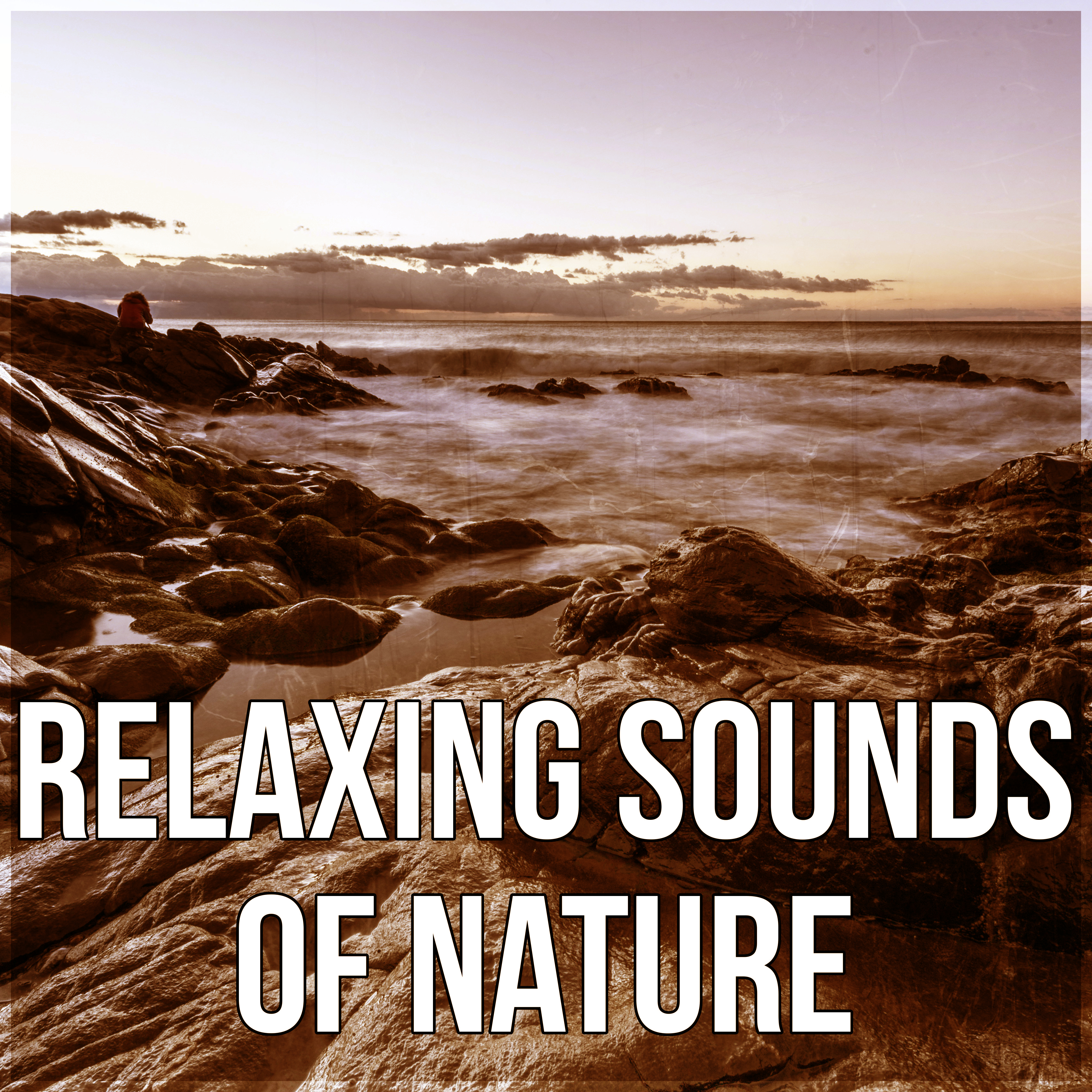 Relaxing Sounds of Nature - Stress Relief After Work, Mood & Serenity Music, Relaxing Sounds of Nature & Sleep Music