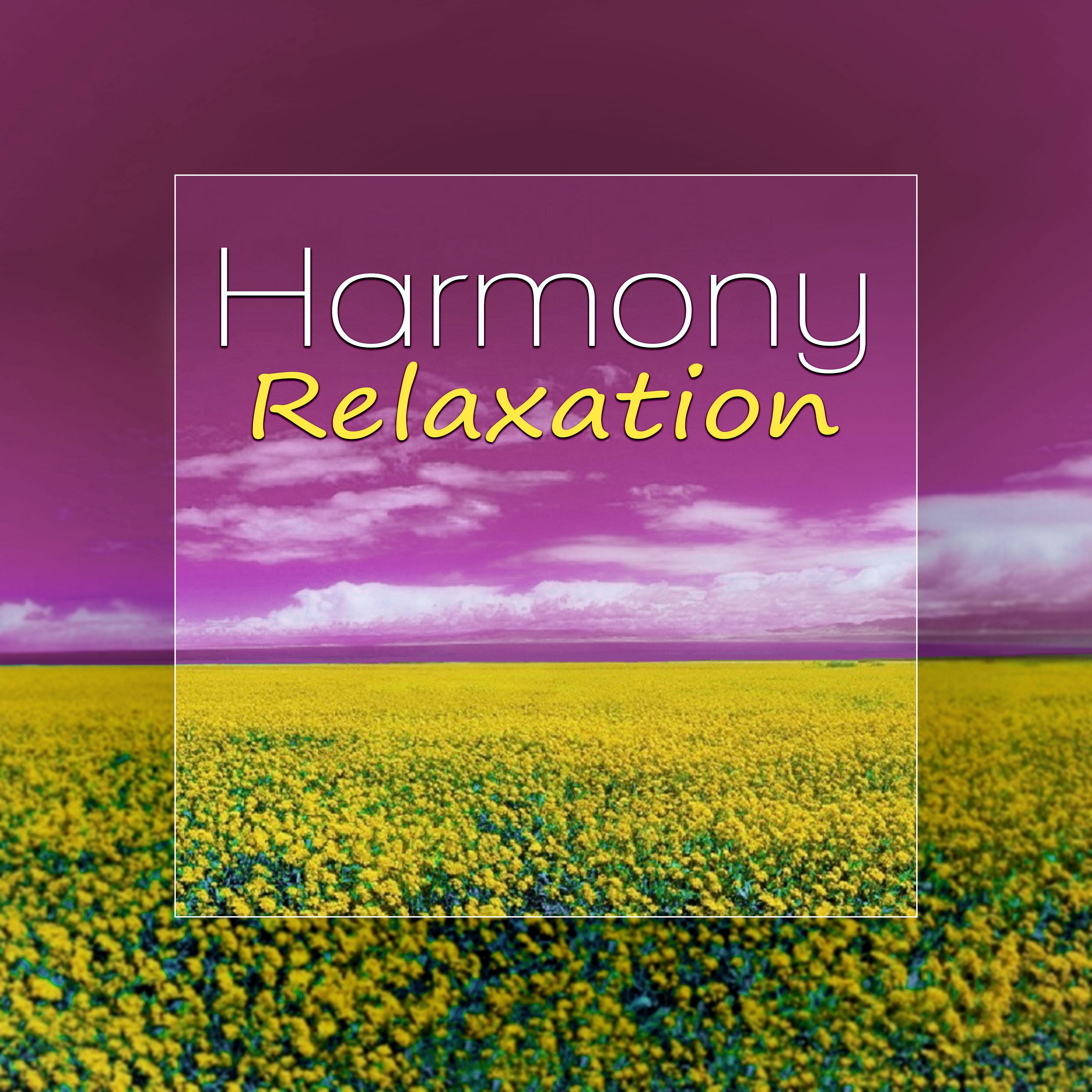 Harmony Relaxation - Healing Songs, Soothing Sounds, Waves Sounds, Calming Music, New Age