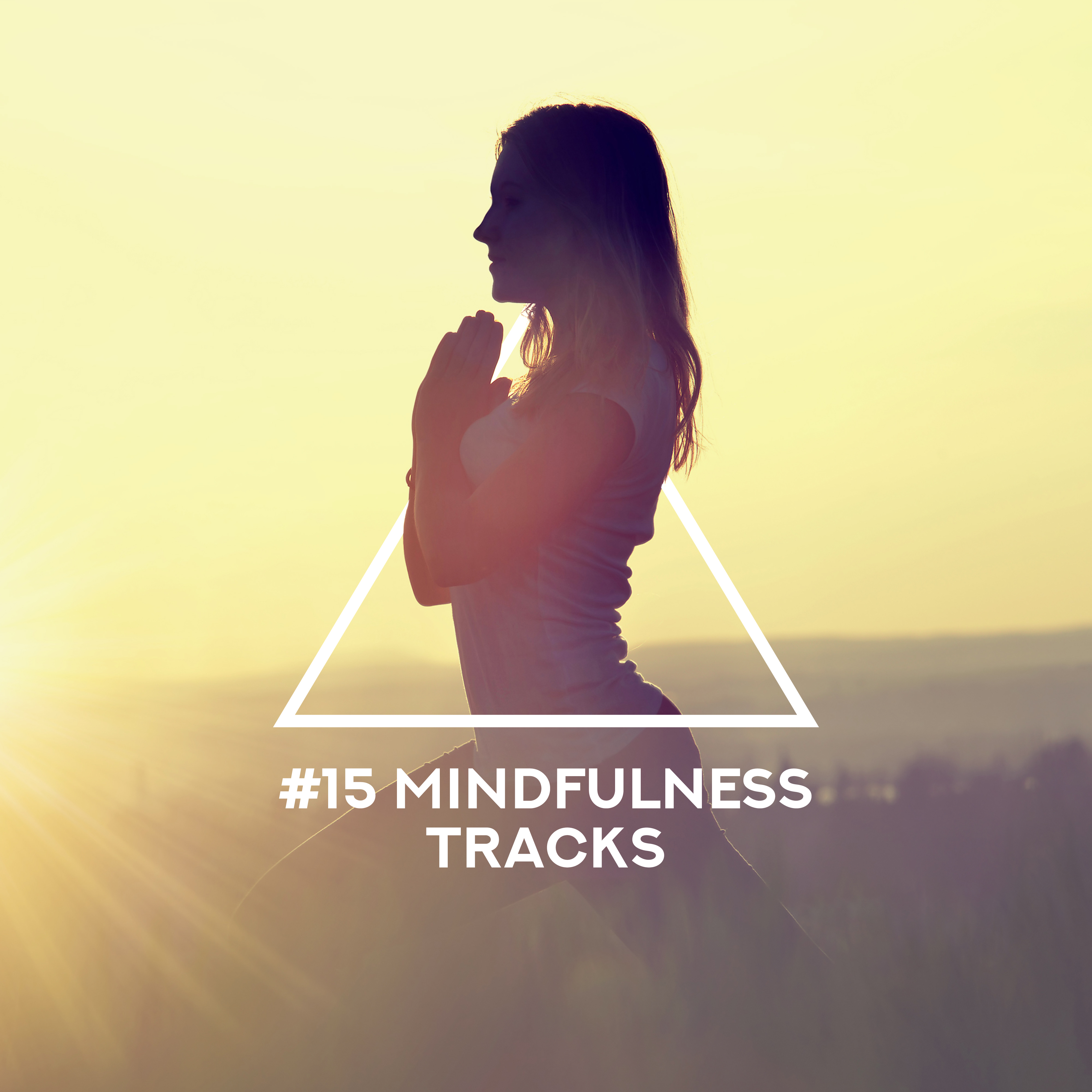 #15 Mindfulness Tracks – Relaxing Music for Yoga, Meditation, Relax Zone, Pure Relaxing Meditation, Inner Harmony, Meditation Music Zone, Yoga Relaxations