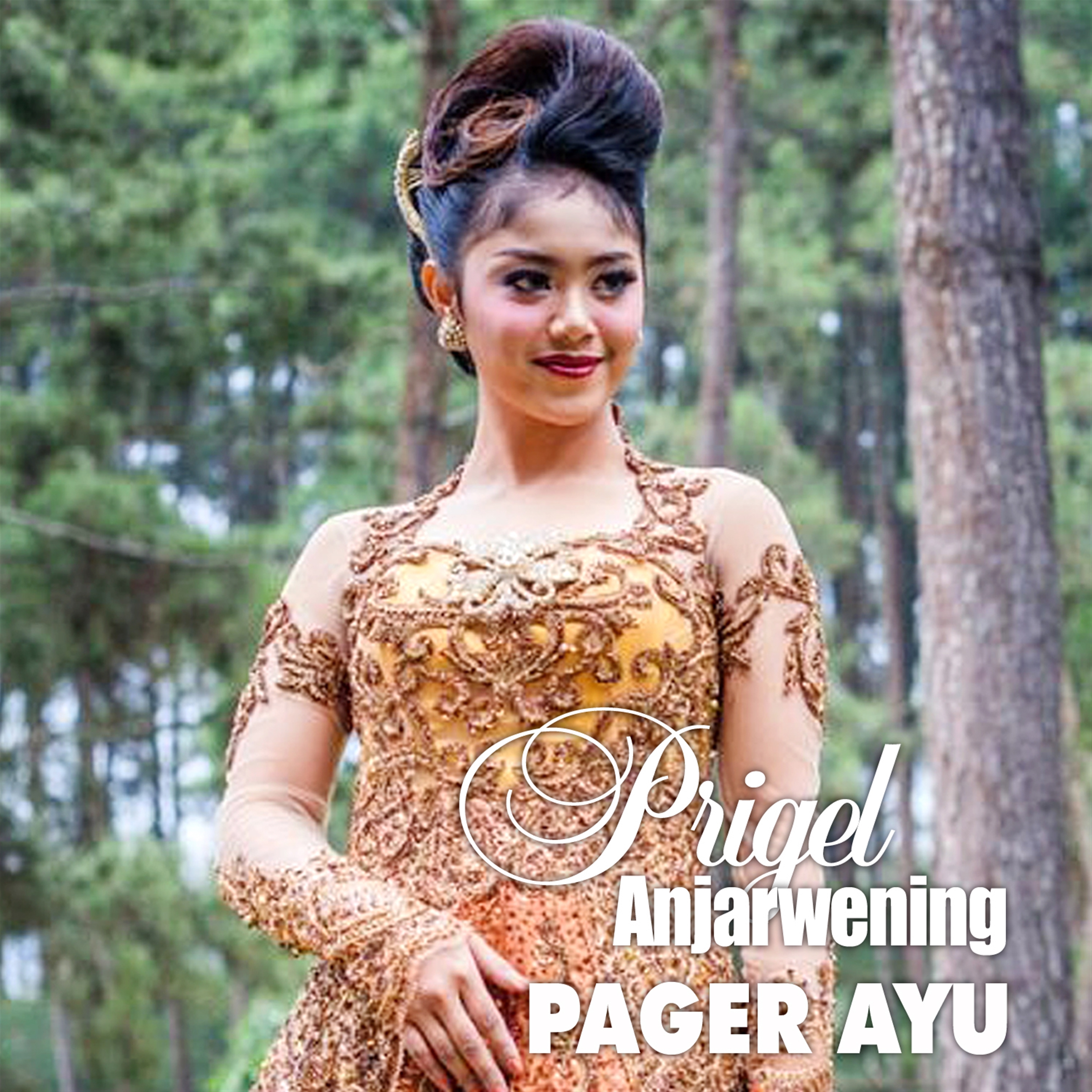 Pager Ayu