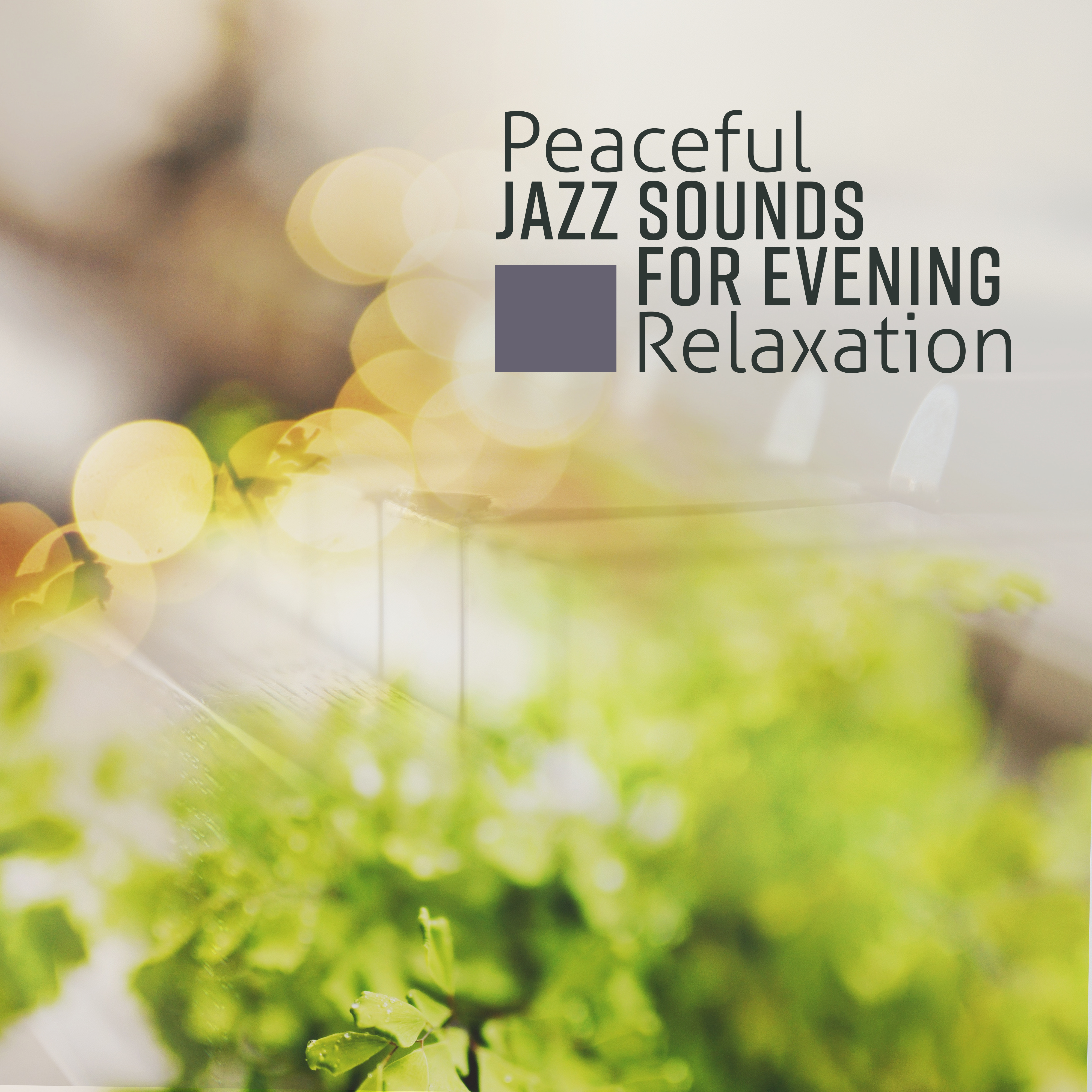 Peaceful Jazz Sounds for Evening Relaxation