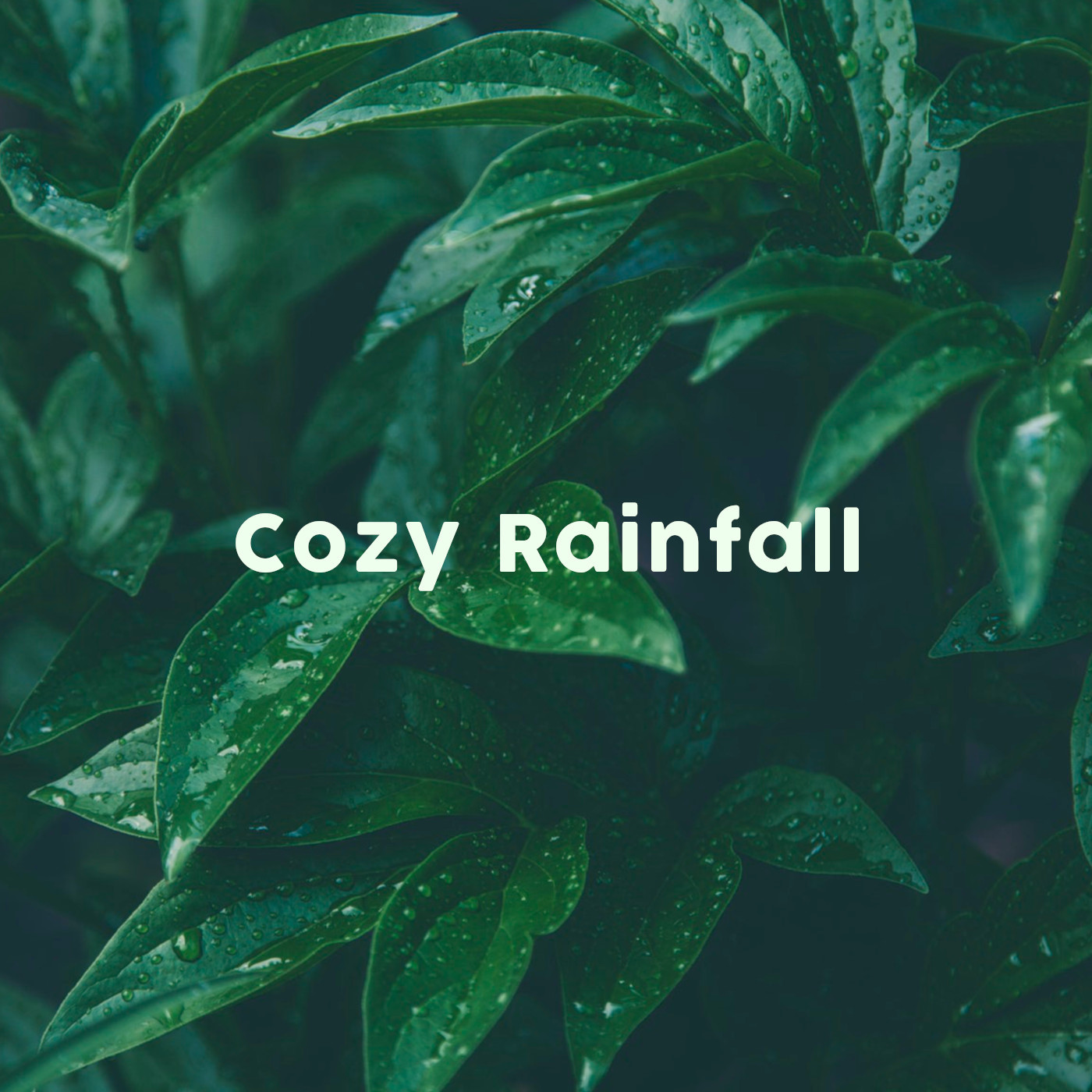 Cozy Rainfall