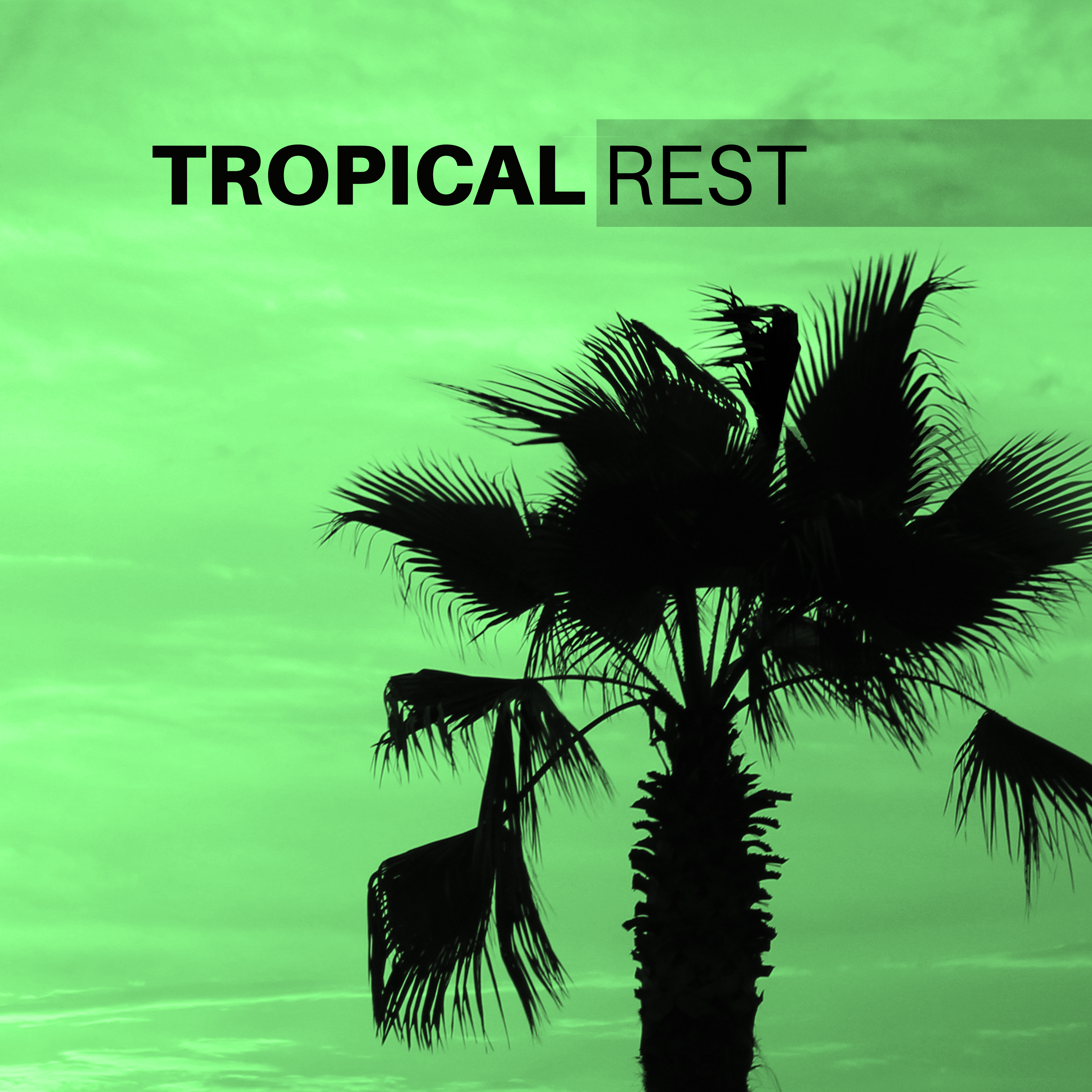 Tropical Rest – Summer Chill Out Journey, Holiday Relaxation, Sweet Sounds to Rest, Peaceful Music