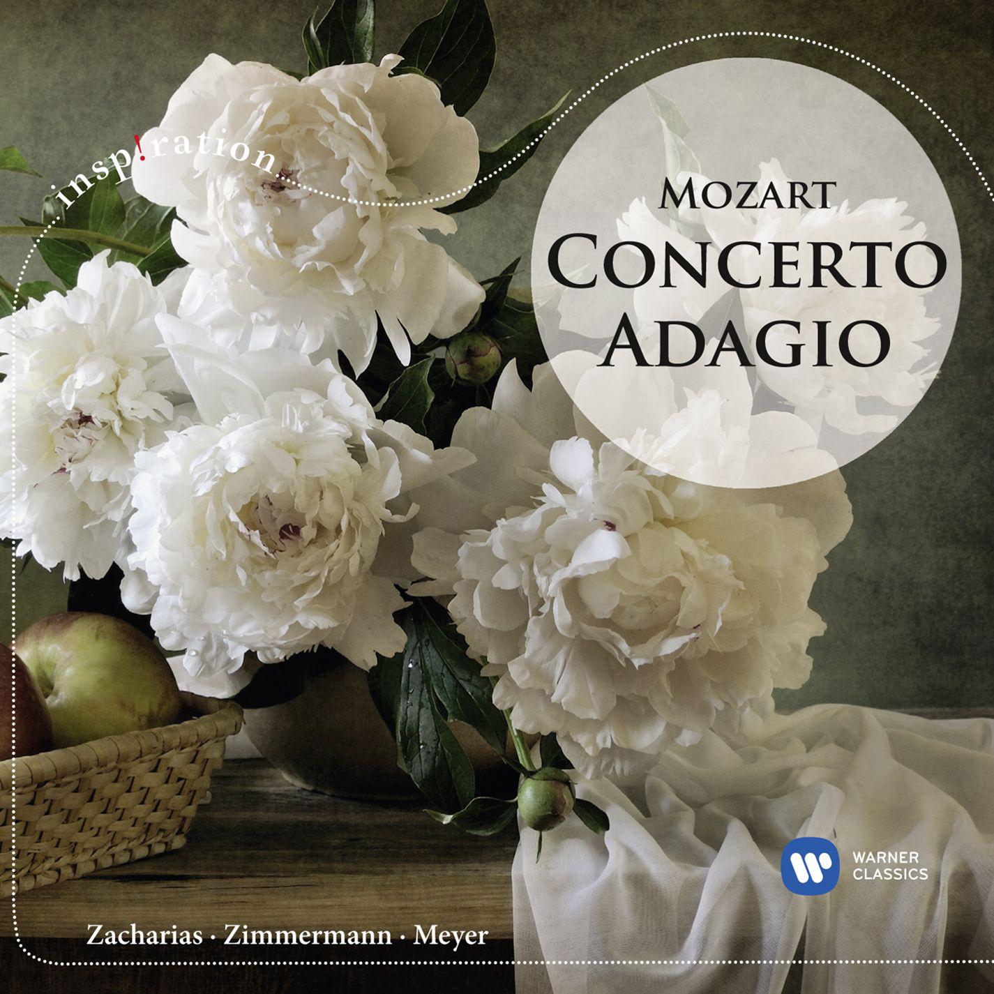 Sinfonia concertante for Violin and Viola in E-Flat Major, K. 364:II. Andante