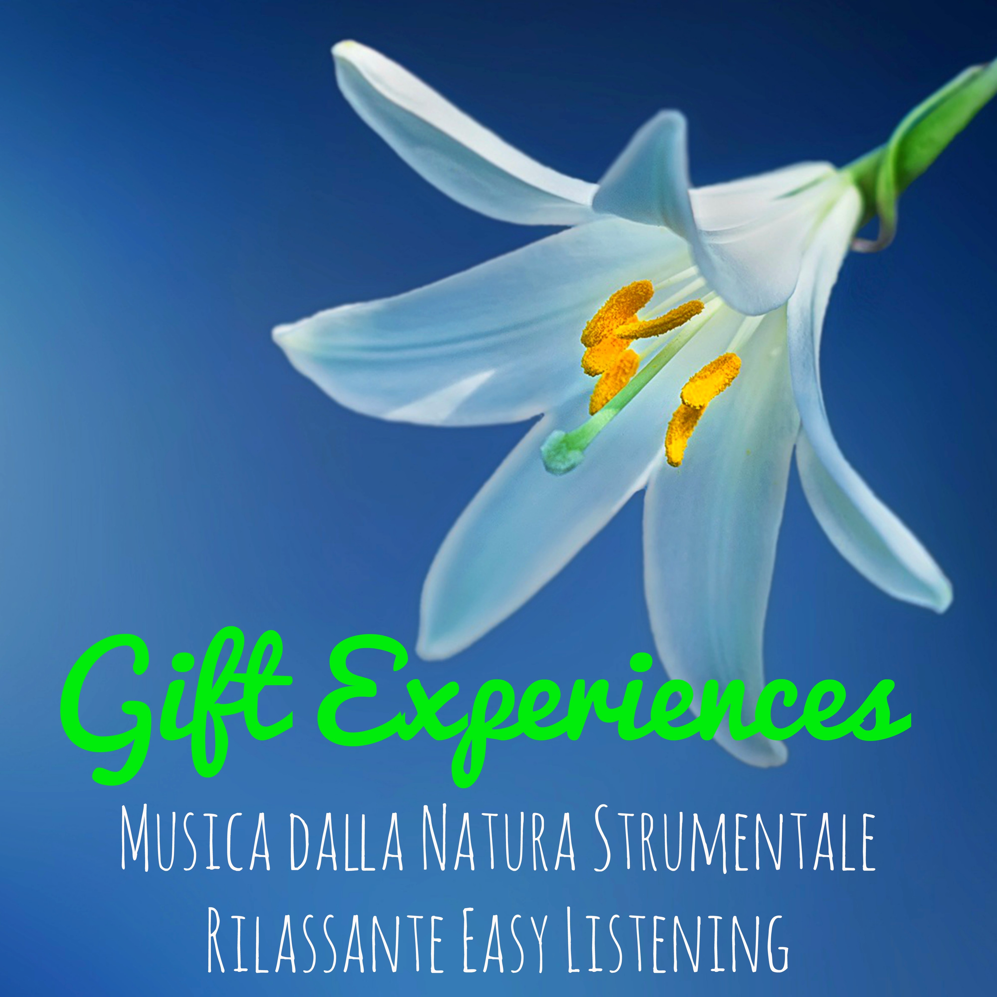 Gift Experiences - Musica dalla Natura Strumentale Rilassante Easy Listening come Rimedio Naturale Spa Terapia e Tecniche di Meditazione