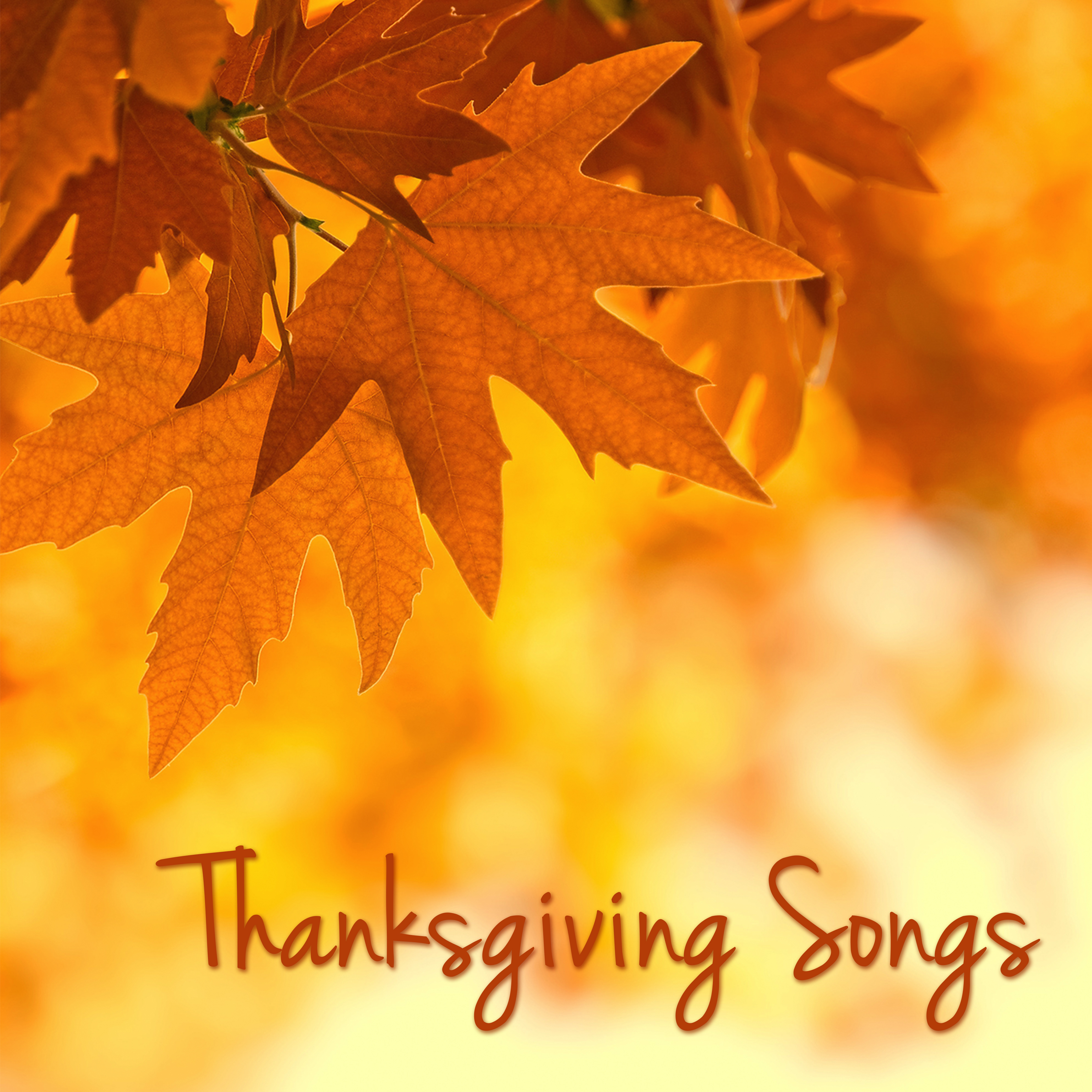 Harpsichord Music for Thanksgiving Dinner