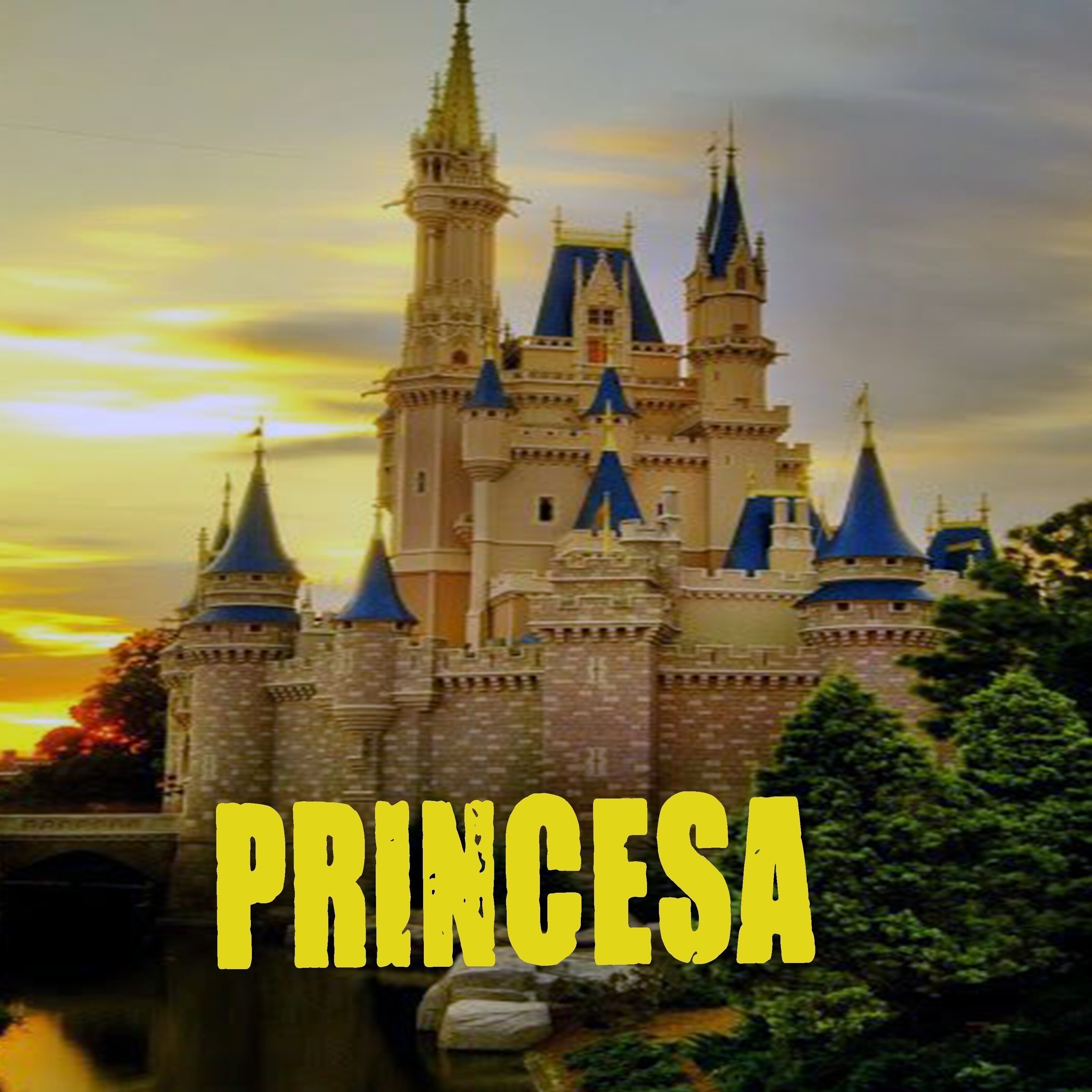 Princesa