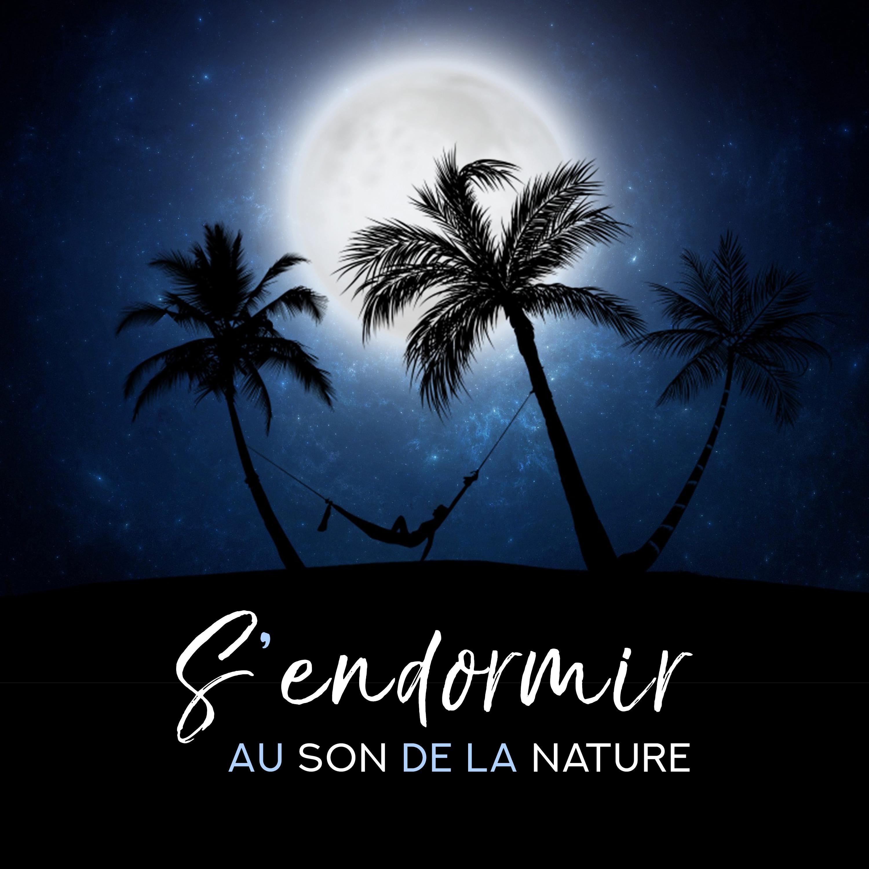 S'endormir au son de la nature (Musique relaxante pour dormir et bien-être)